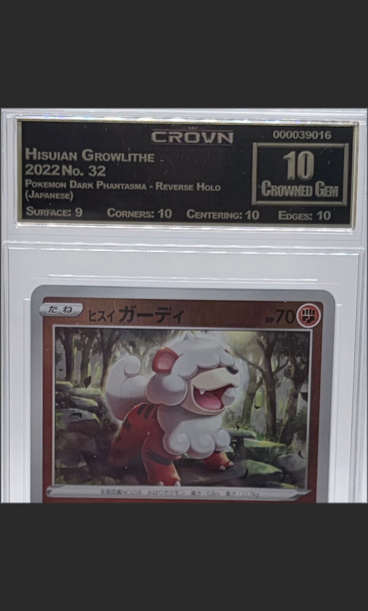 Hisuian Growlithe 32 certified slab