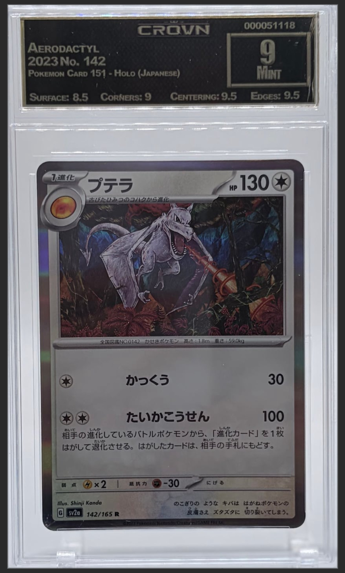 Aerodactyl 142 certified slab