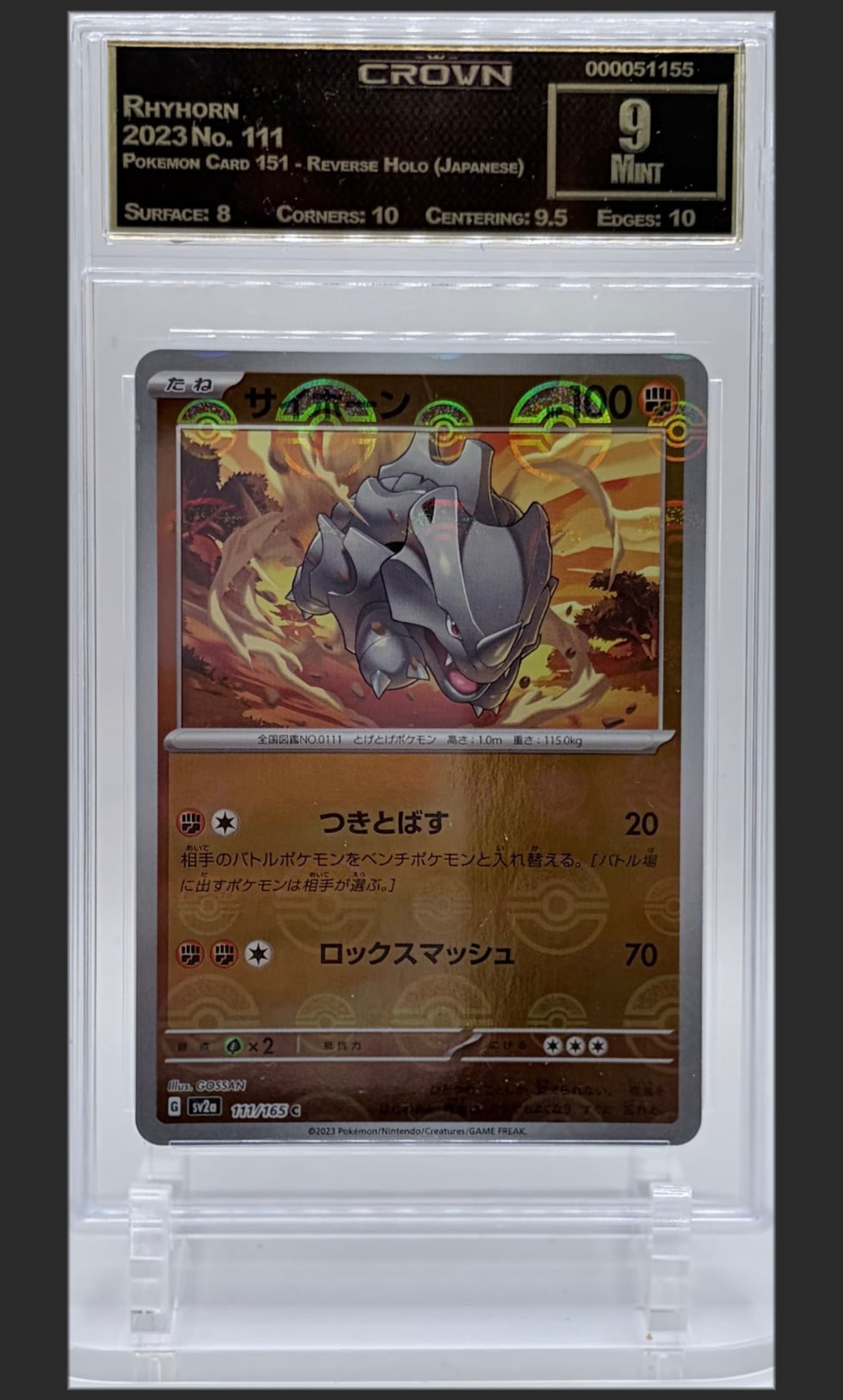 Rhyhorn 111 certified slab