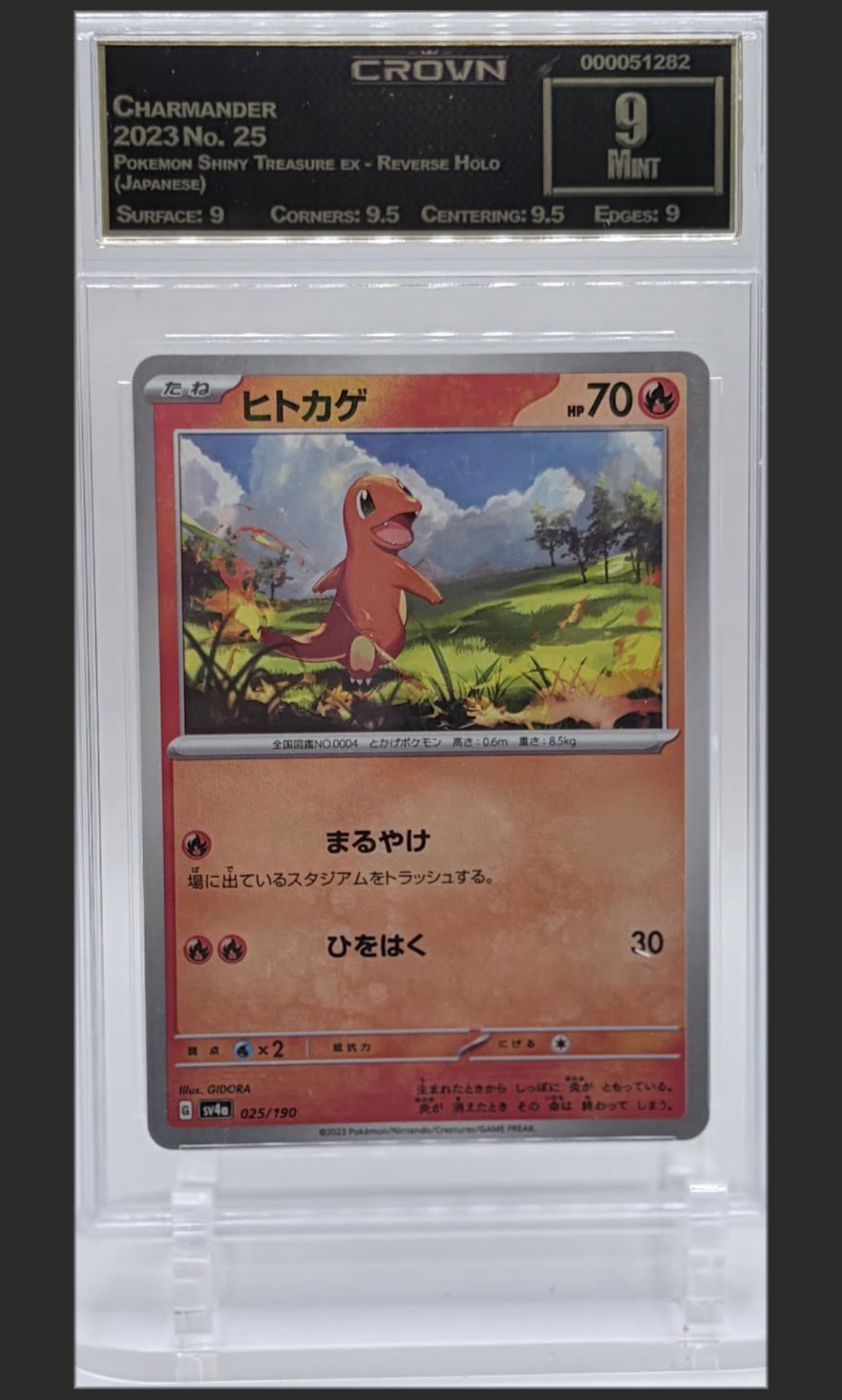 Charmander 25 certified slab