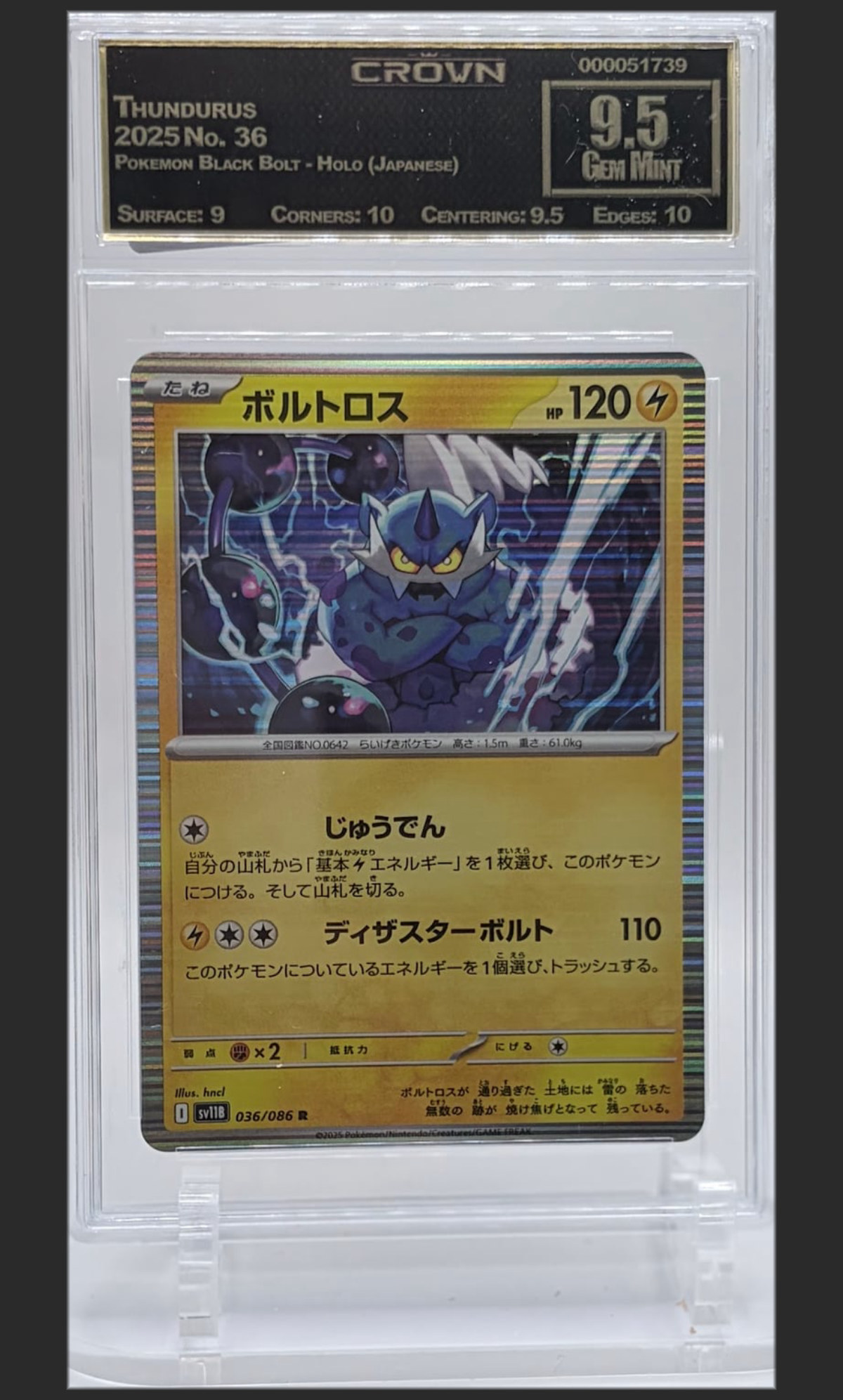 Thundurus 36 certified slab