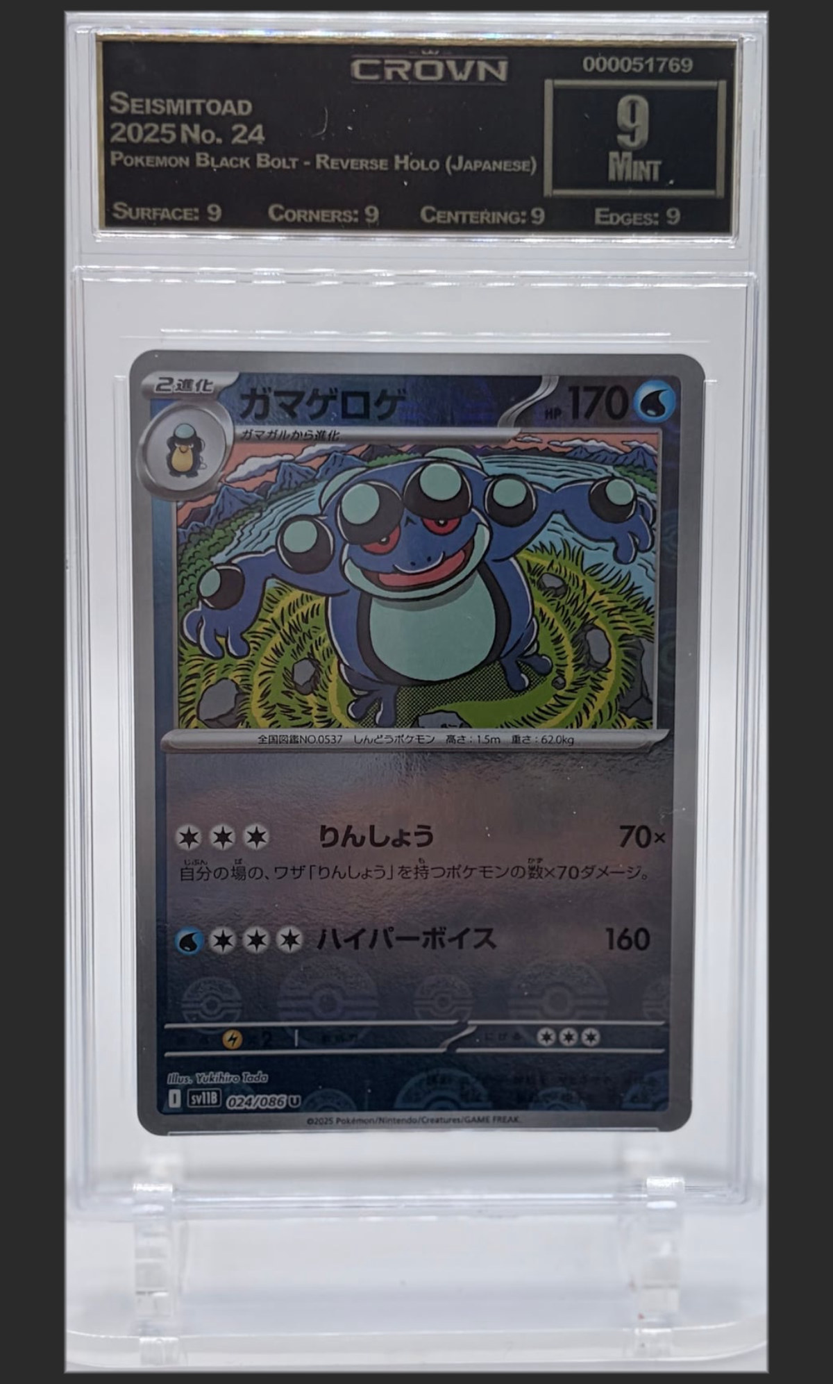 Seismitoad 24 certified slab