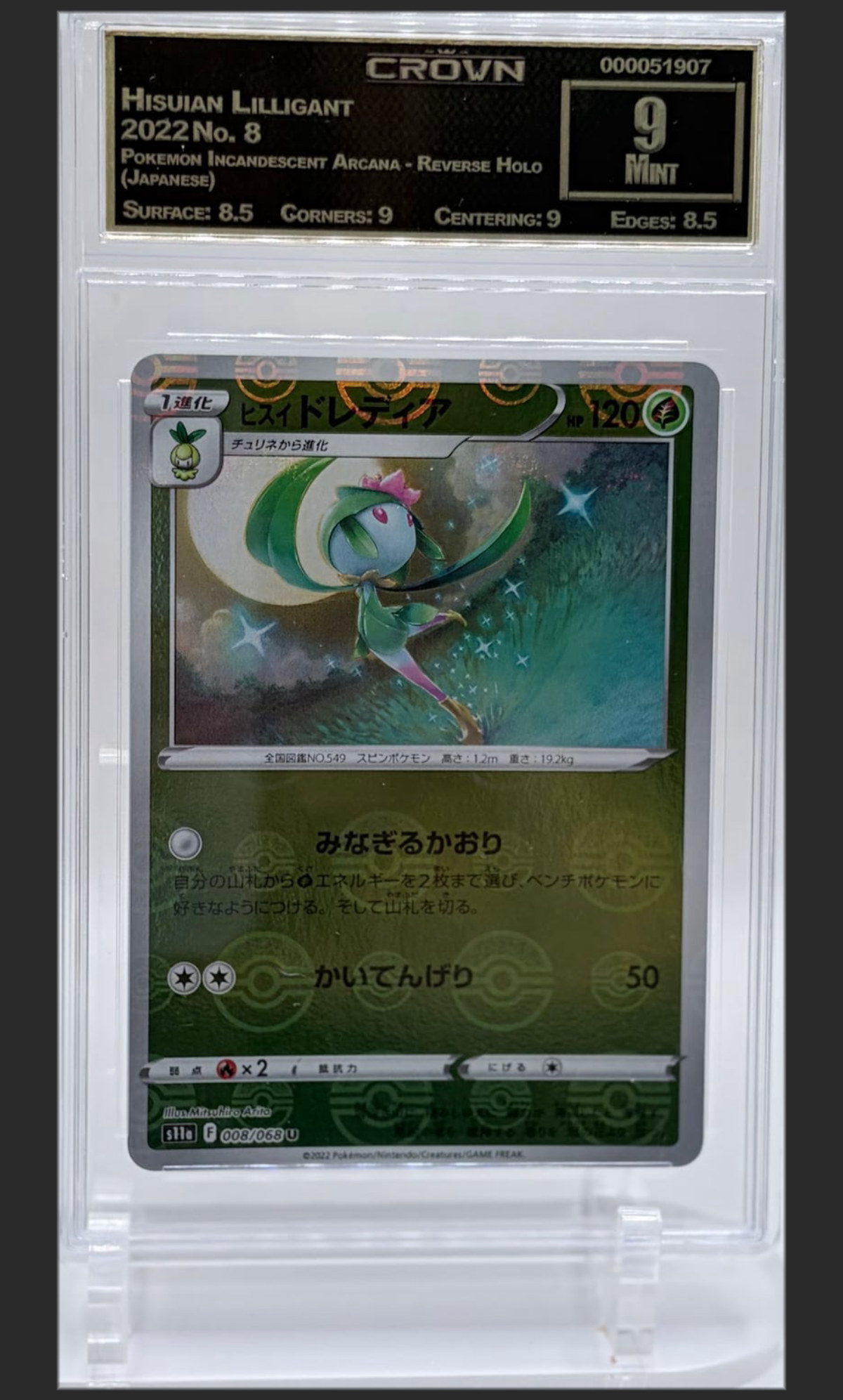 Hisuian Lilligant 8 certified slab