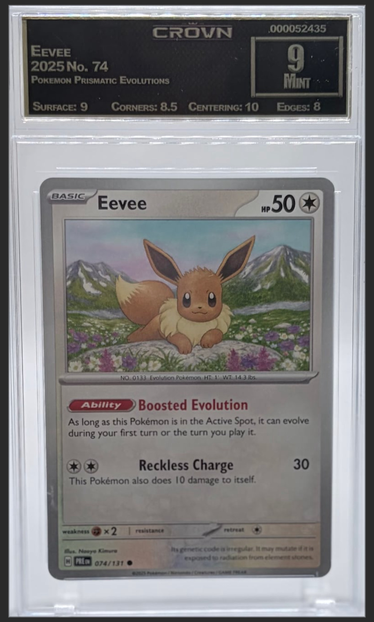 Eevee 74 certified slab