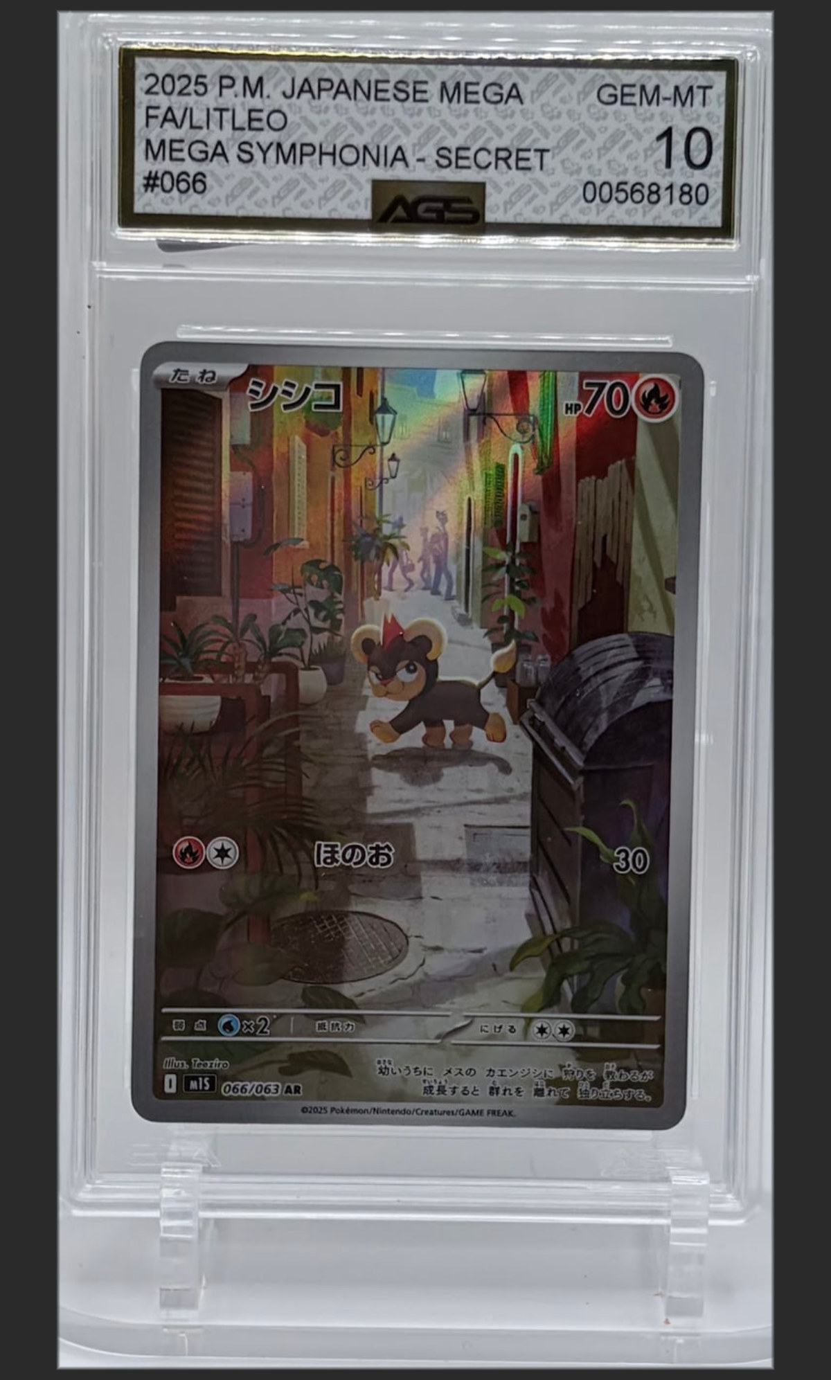 Litleo 066 certified slab
