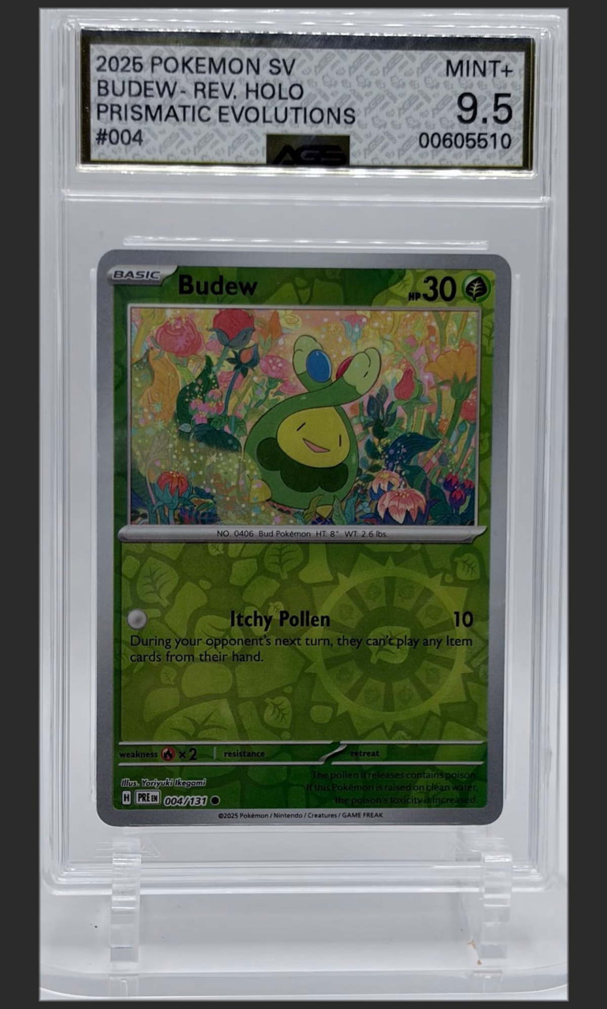 Budew 004 certified slab