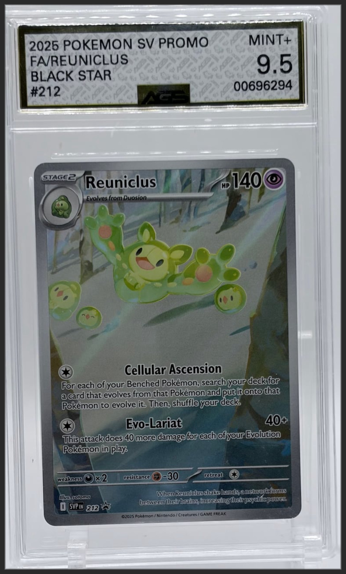 Reuniclus 212 certified slab