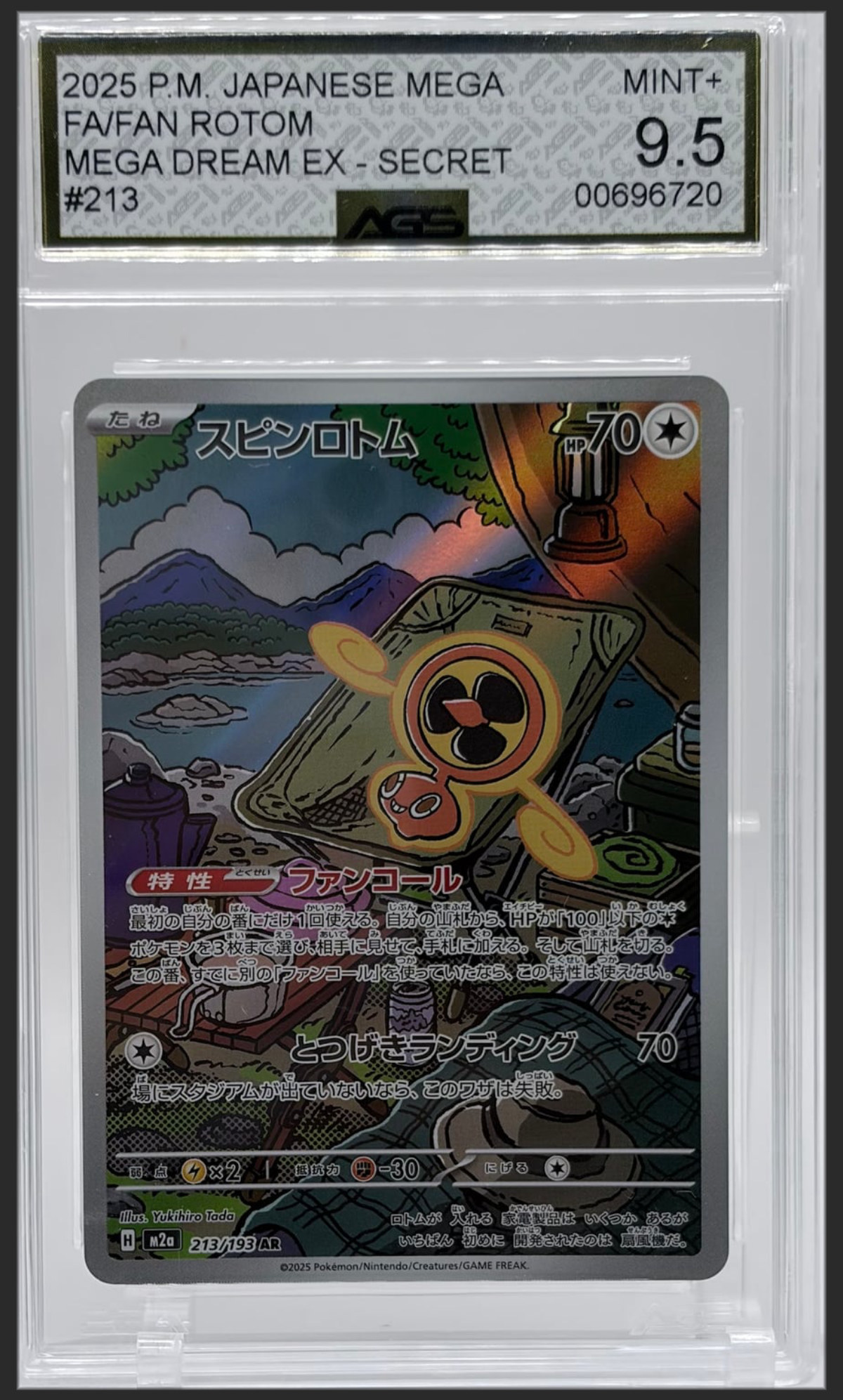 Fan Rotom 213/193 certified slab