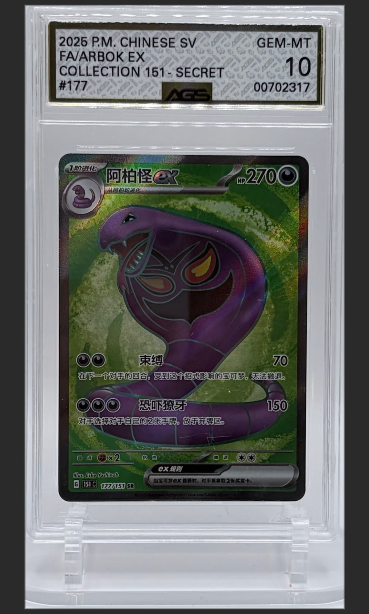 FA/Arbok ex 177 certified slab