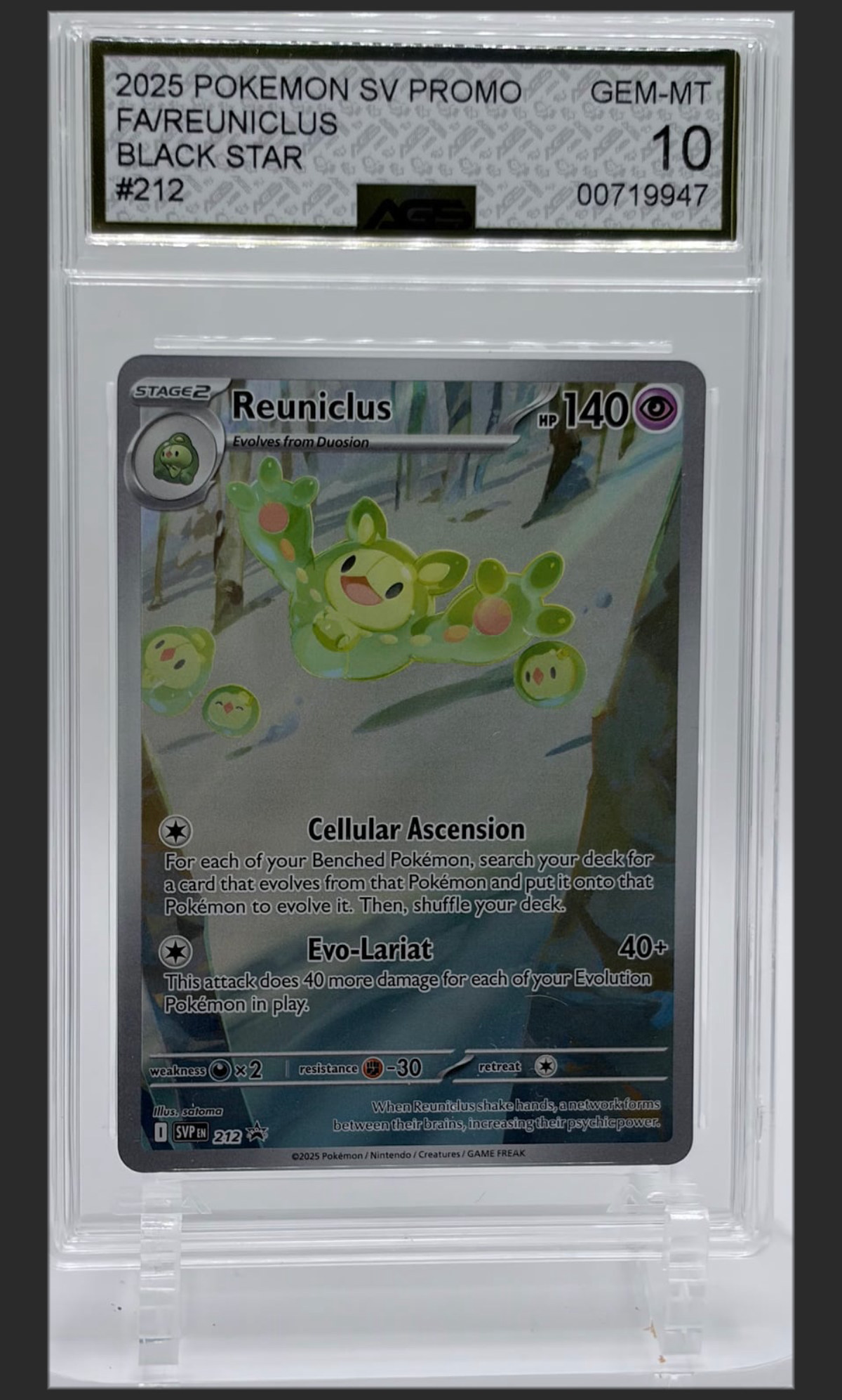 Reuniclus 212 certified slab