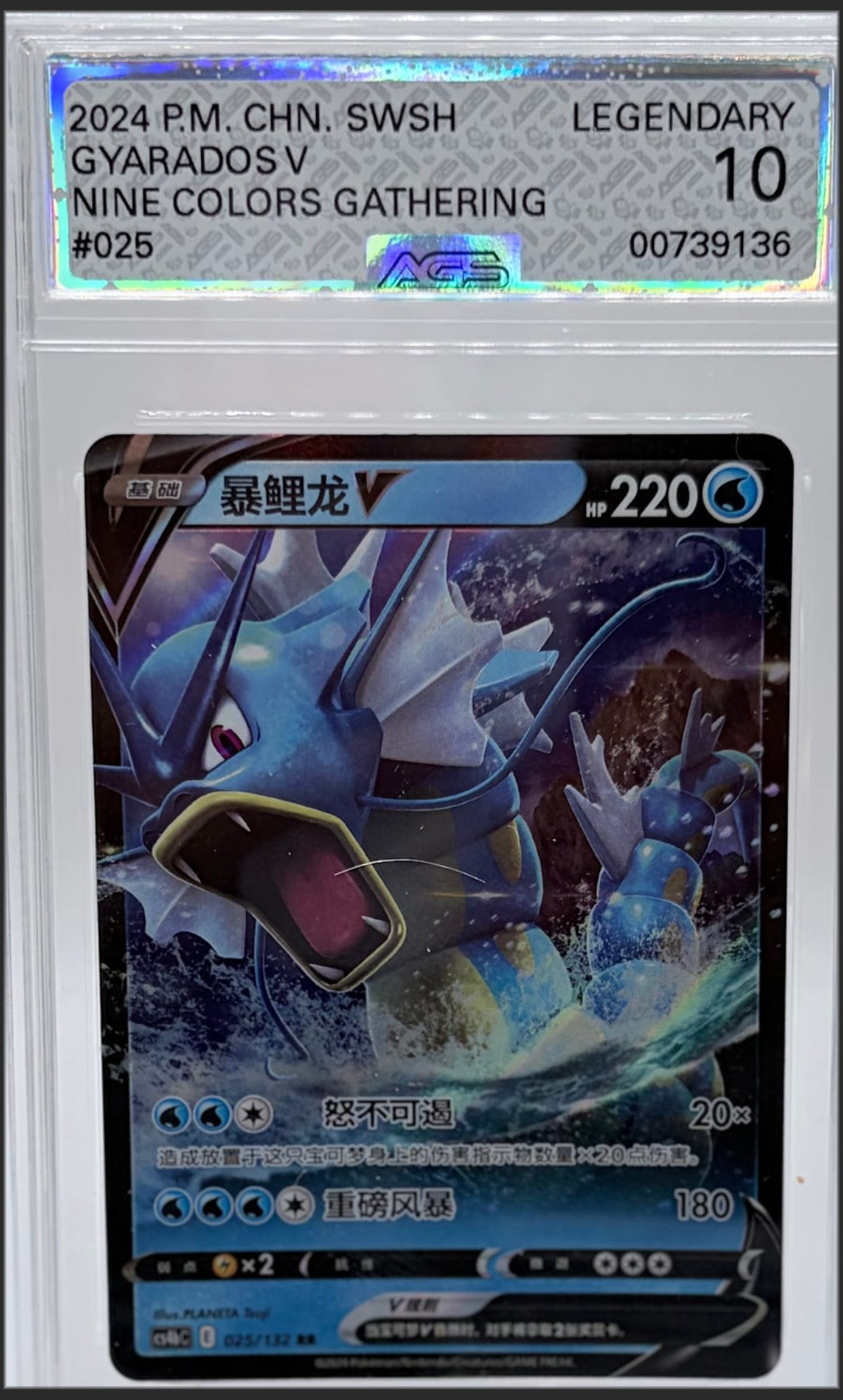 Gyarados V #025 certified slab