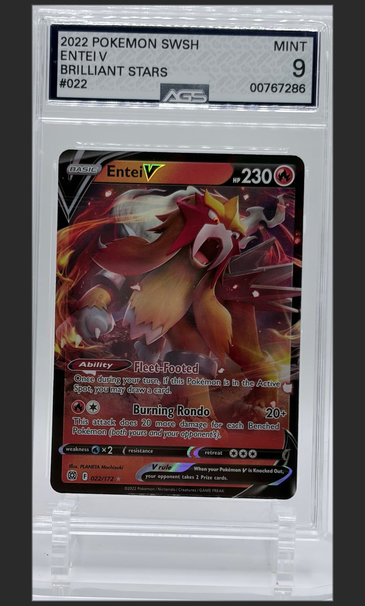 Entei V 022 certified slab