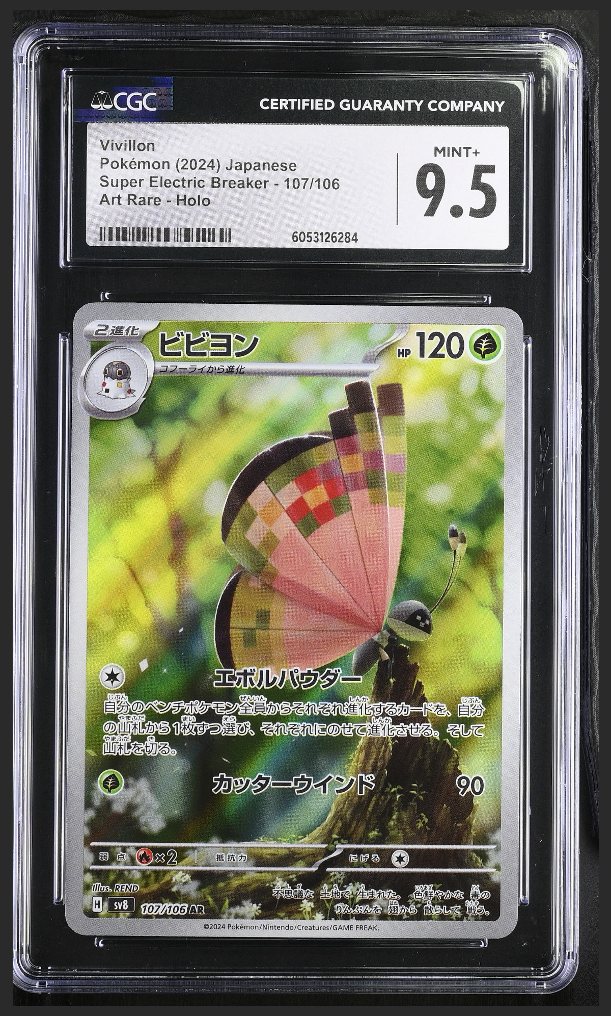 Vivillon 107/106 certified slab