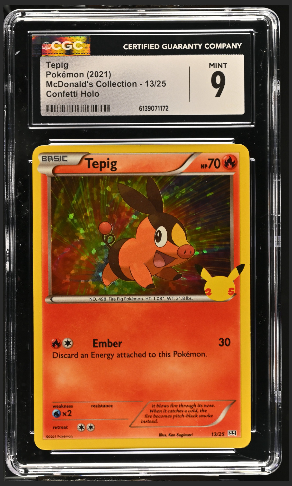 Tepig 13/25 certified slab