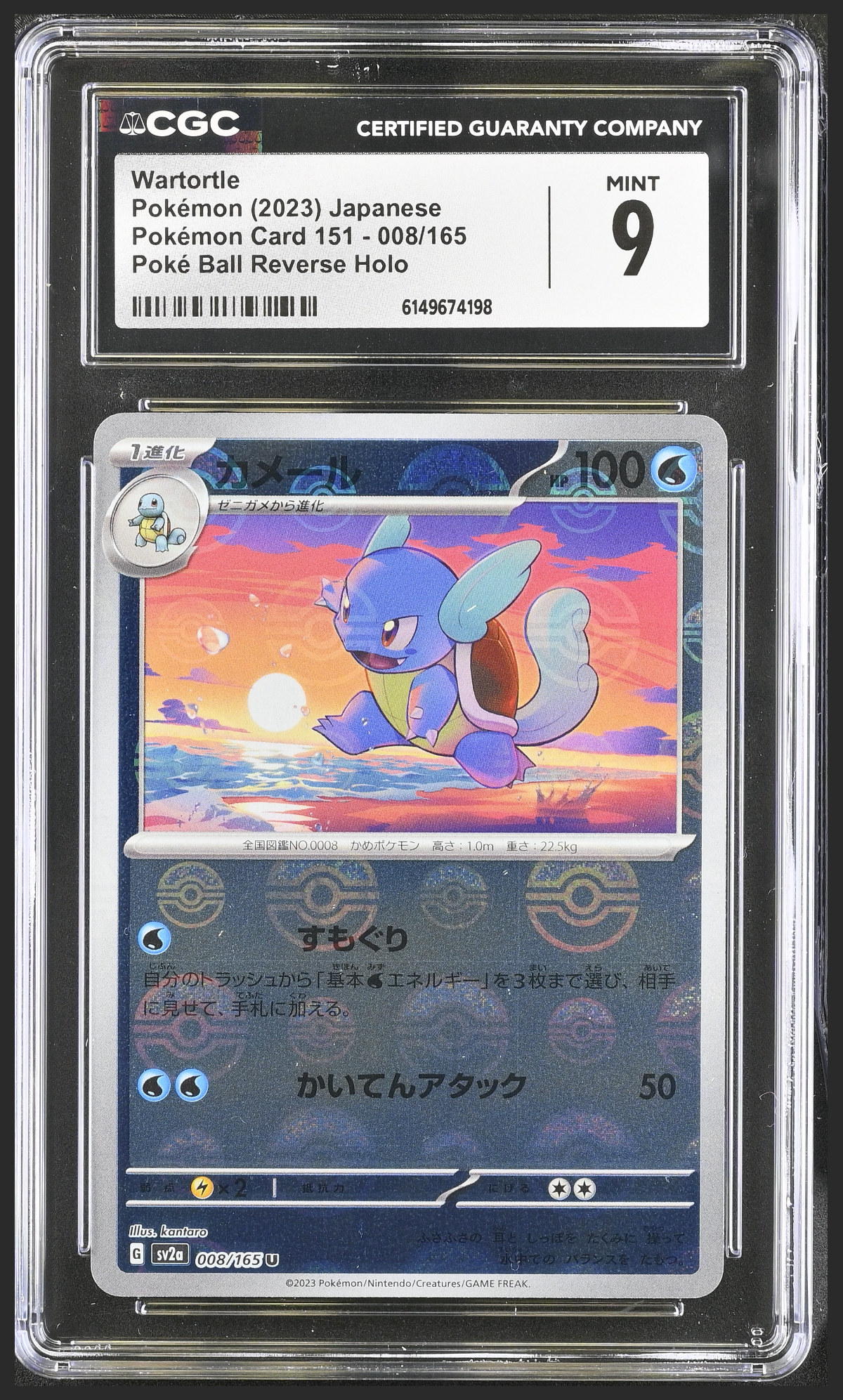 Wartortle 008/165 certified slab