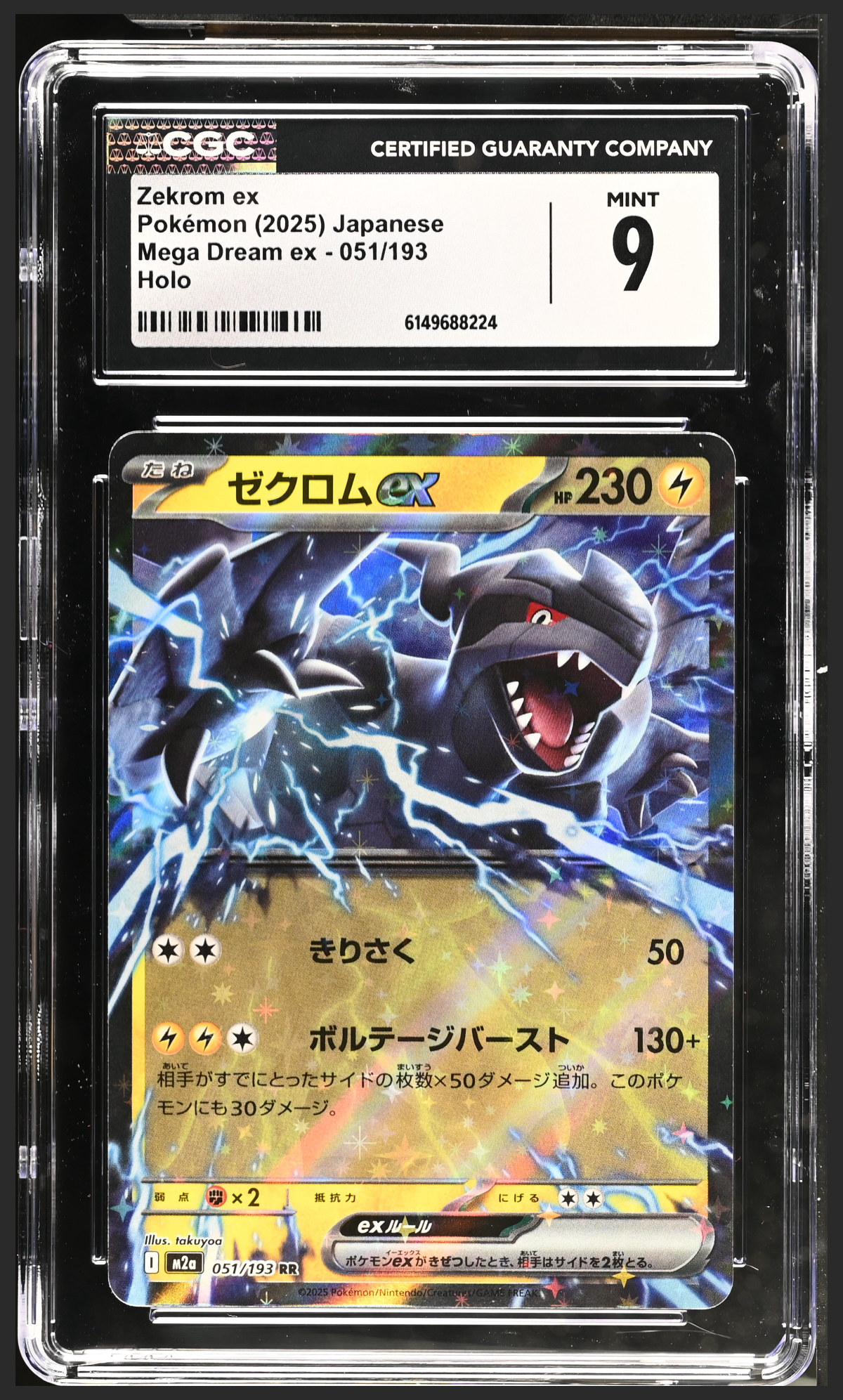 Zekrom ex 051/193 certified slab
