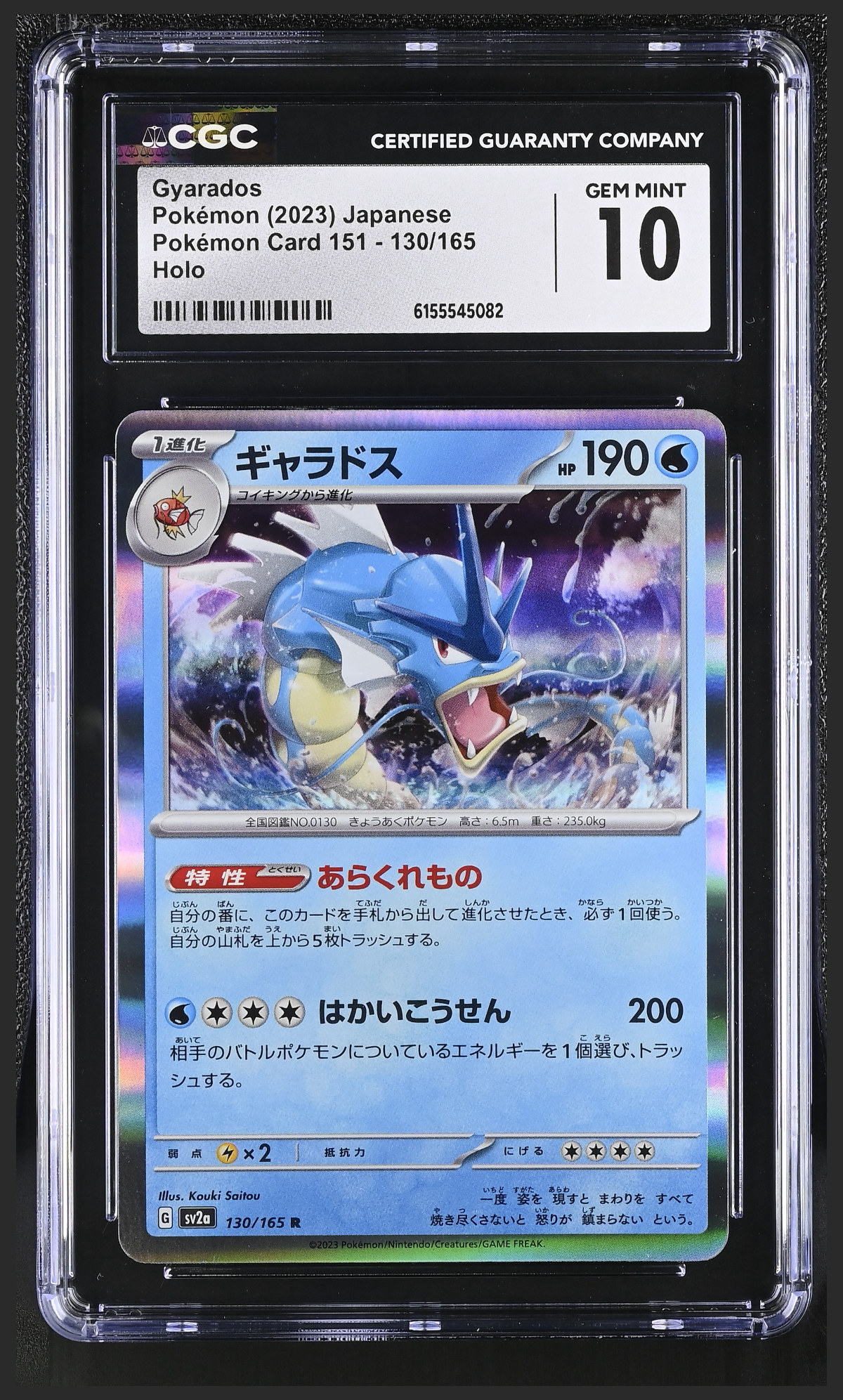 Gyarados 130/165 certified slab
