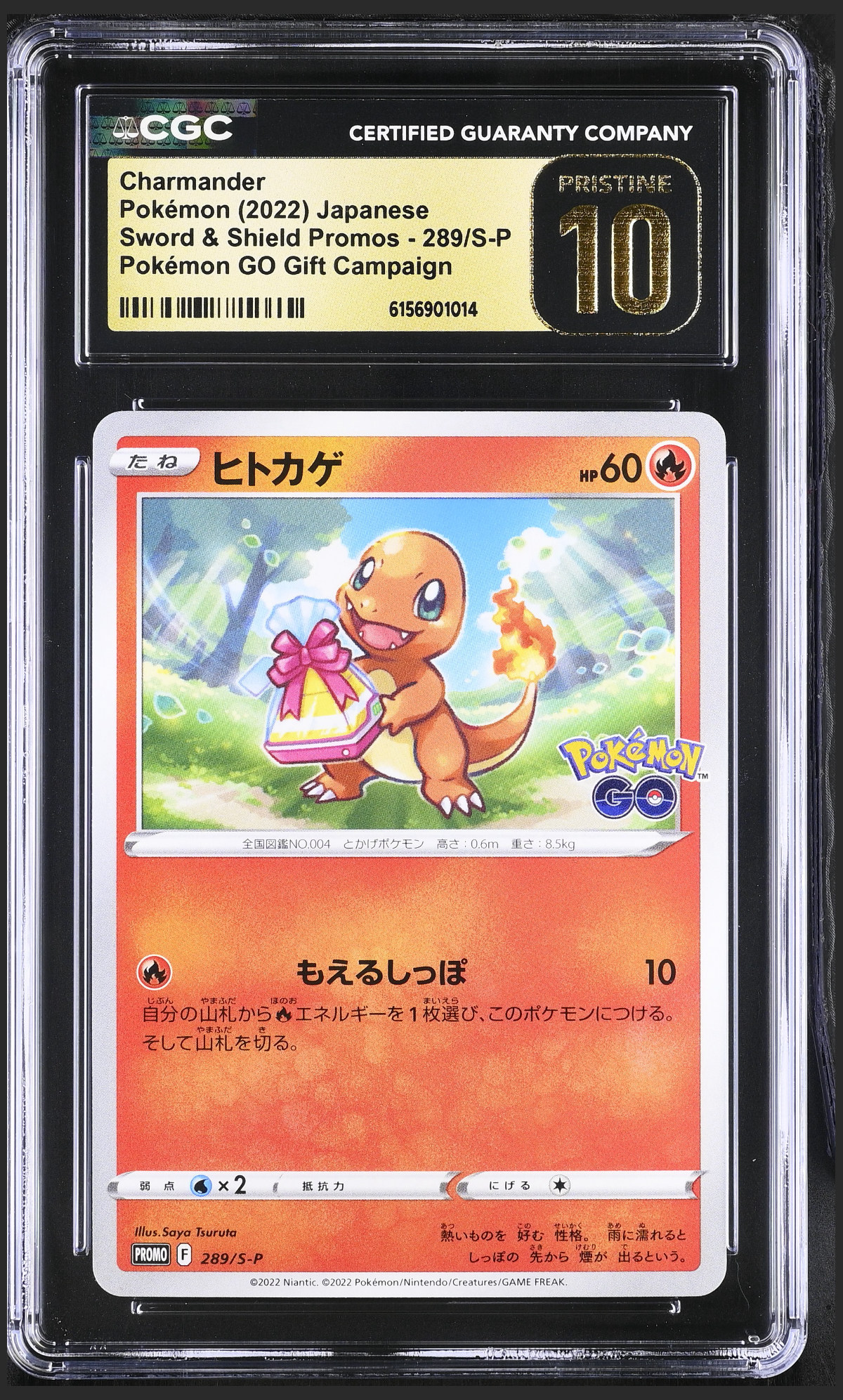 Charmander 289/S-P — the exact copy offered for sale