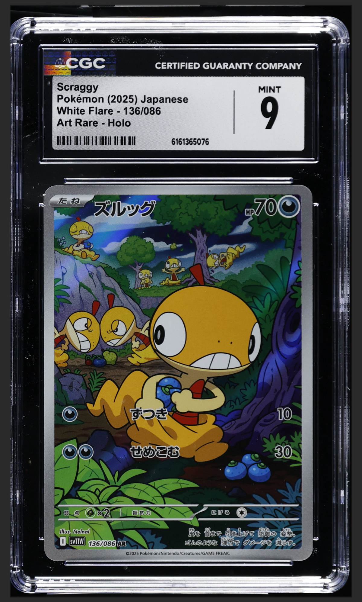 Scraggy 136/086 certified slab