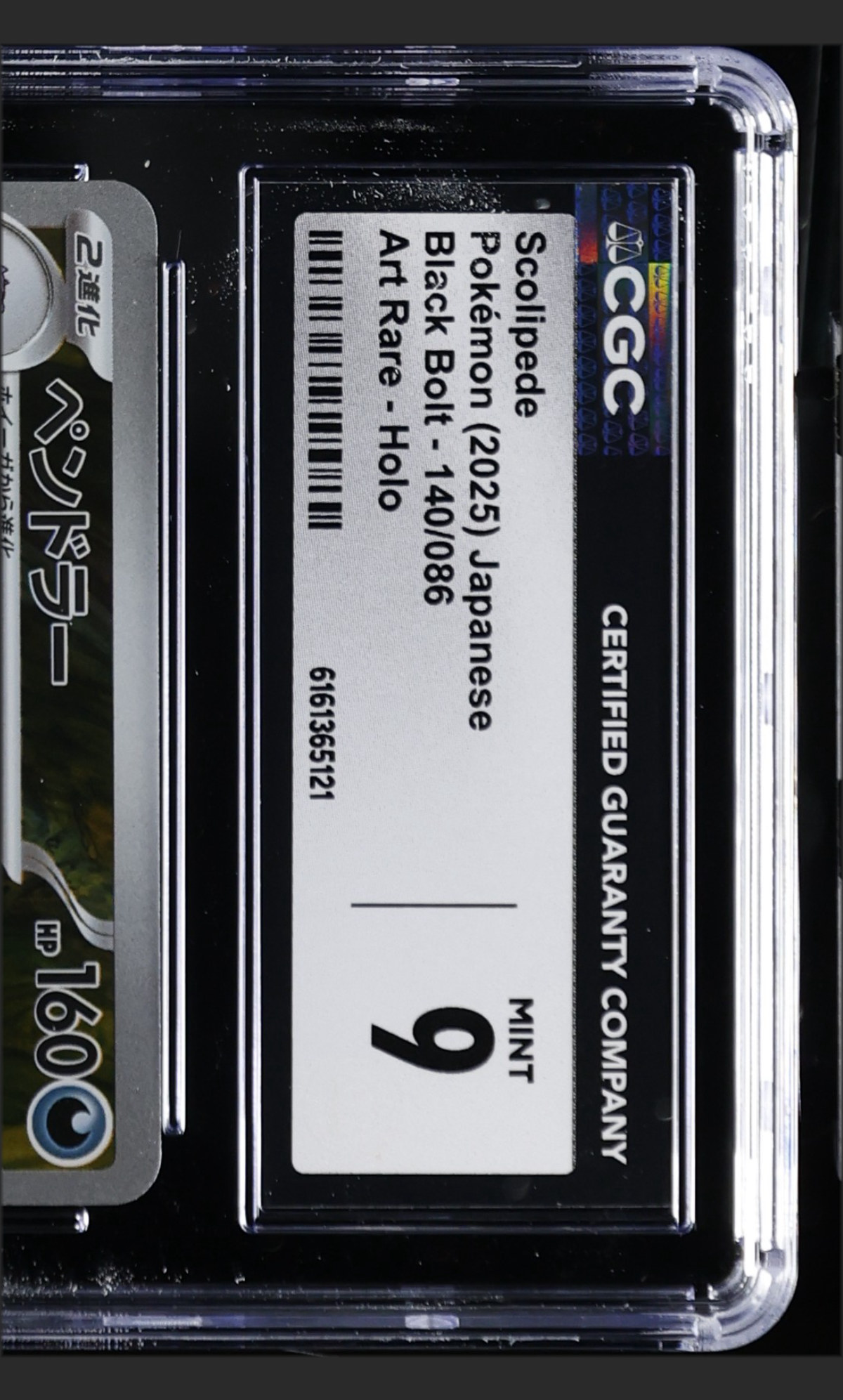 Scolipede 140/086 certified slab