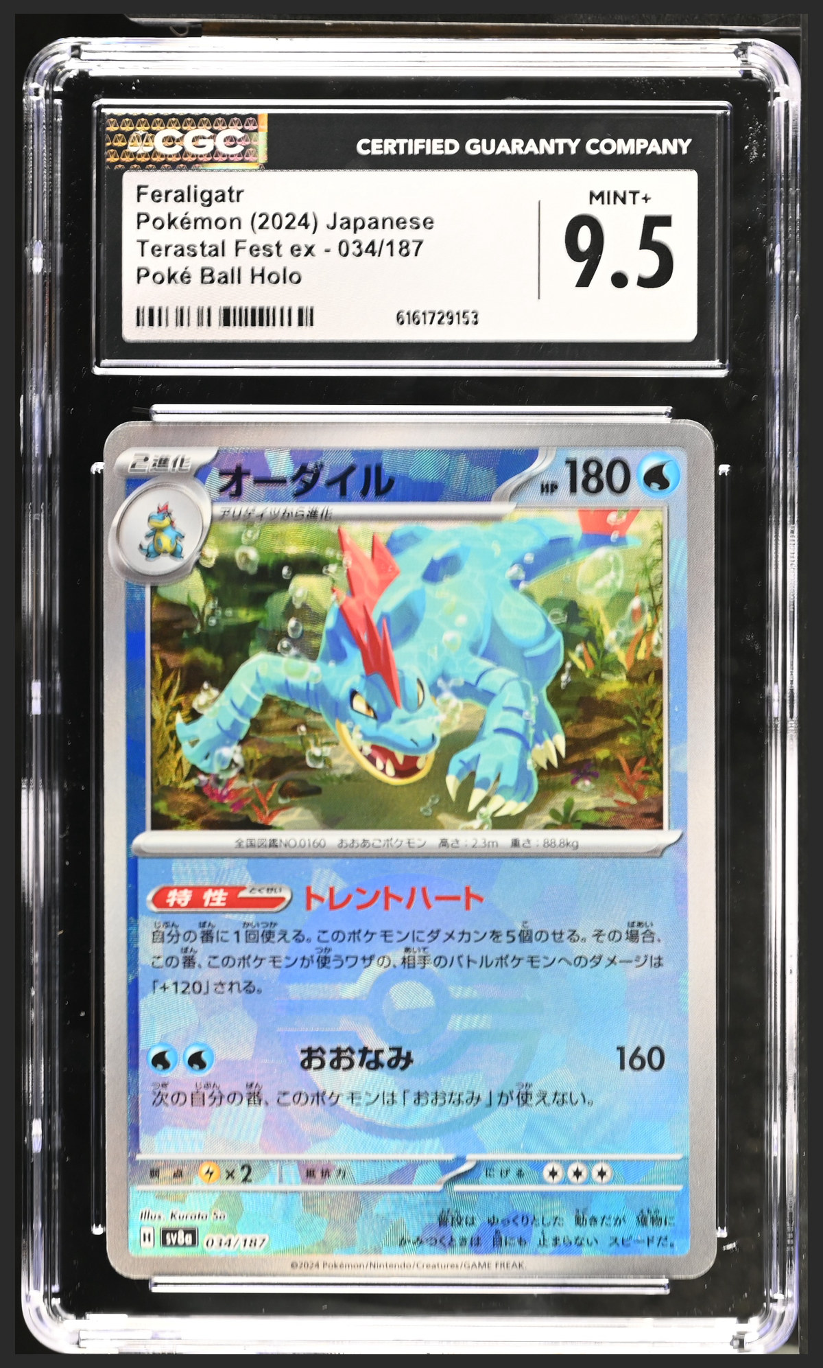 Feraligatr 034/187 certified slab