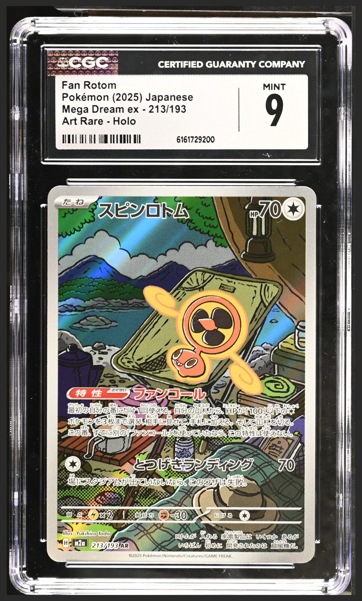 Fan Rotom 213/193 certified slab