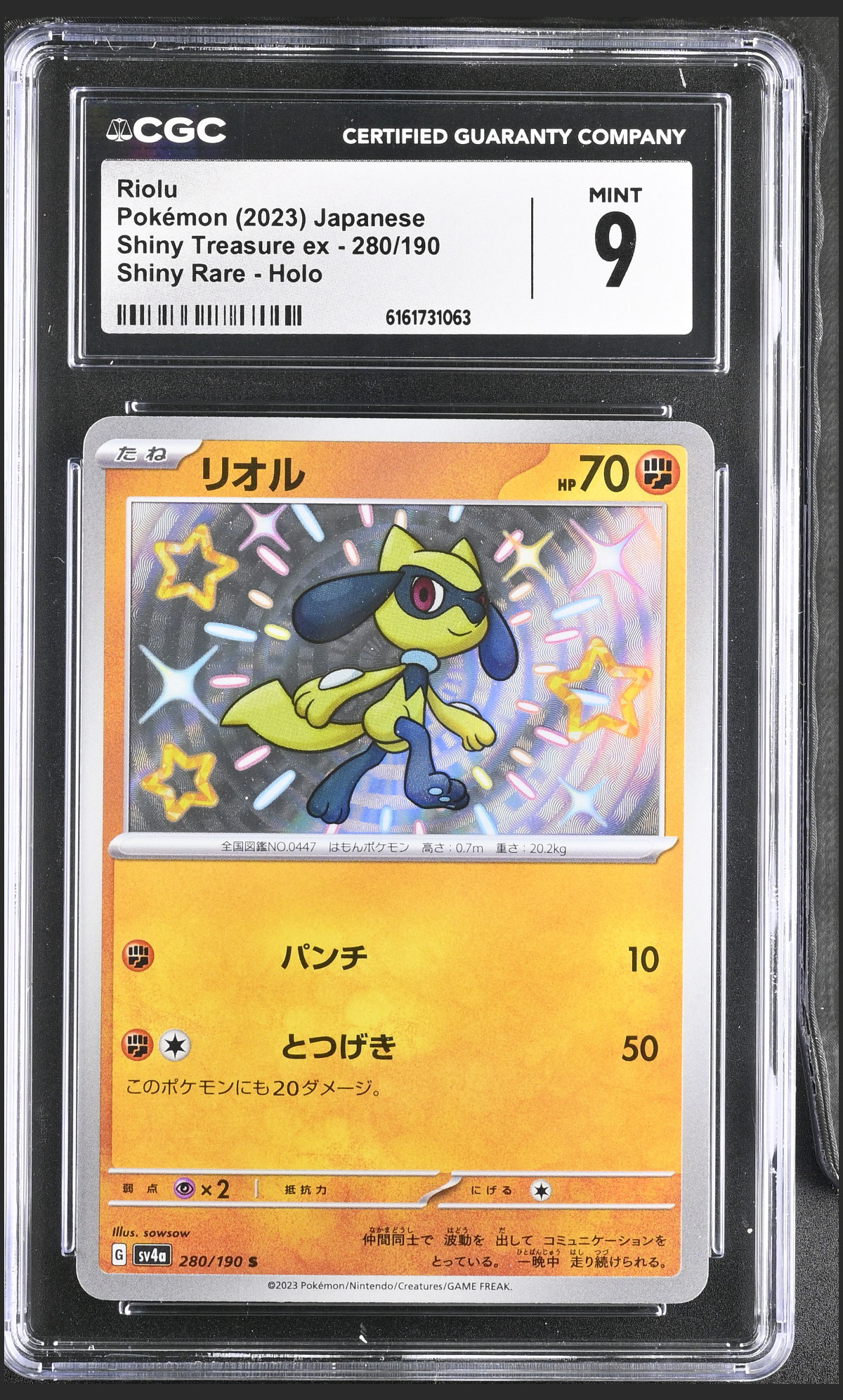Riolu 280/190 certified slab