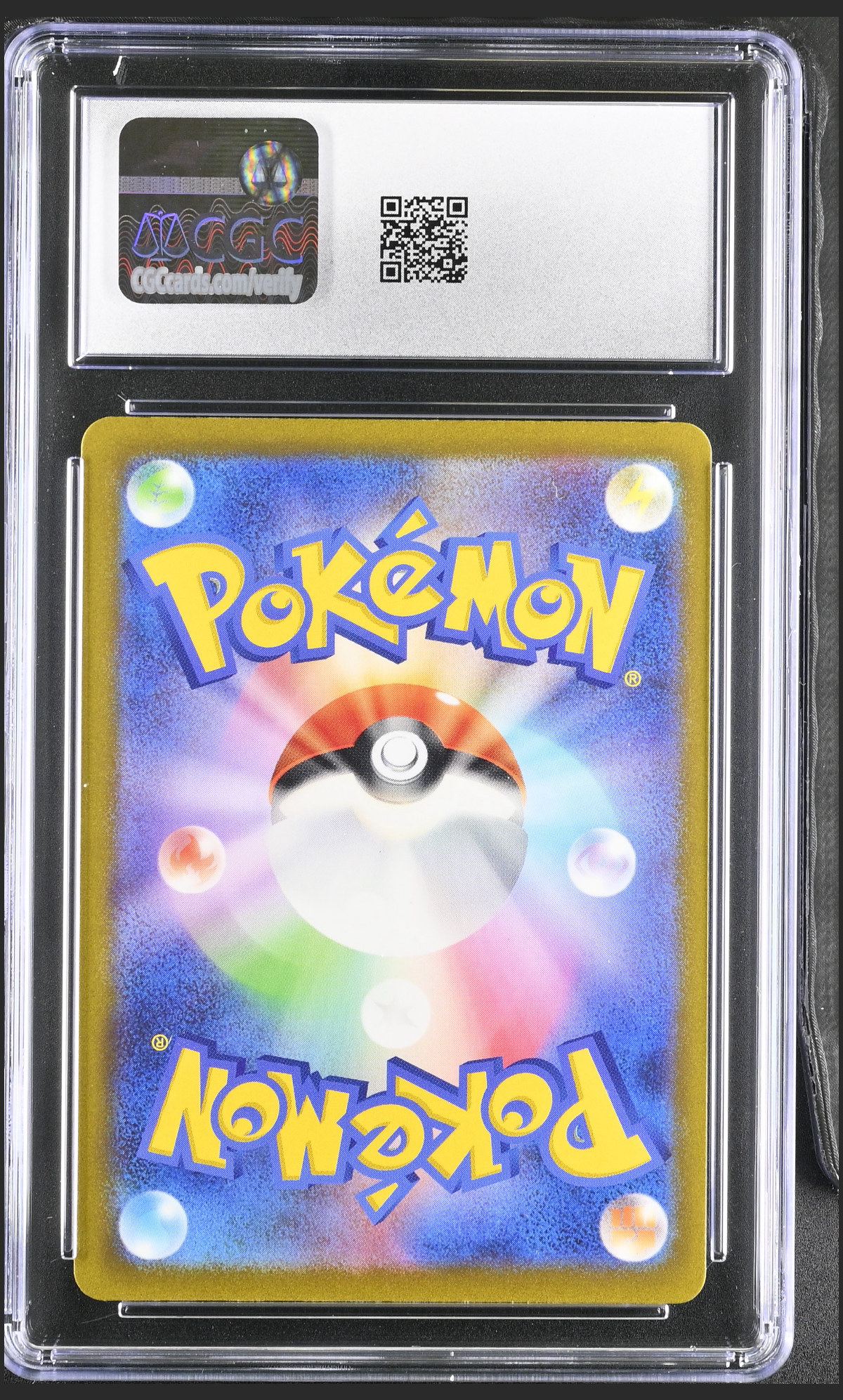 Riolu 280/190 — slab rear, certification 6161731063
