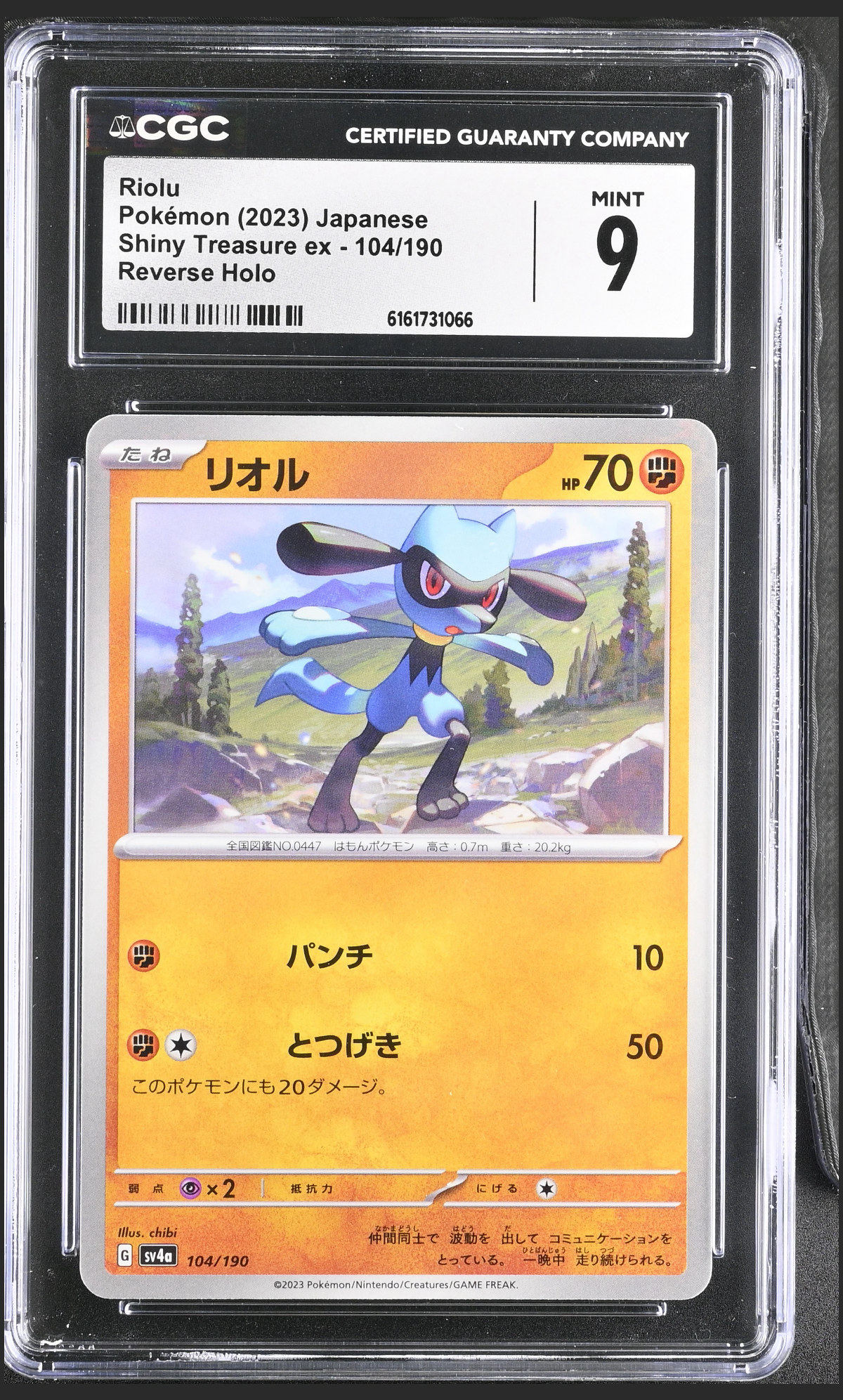 Riolu 104/190 certified slab