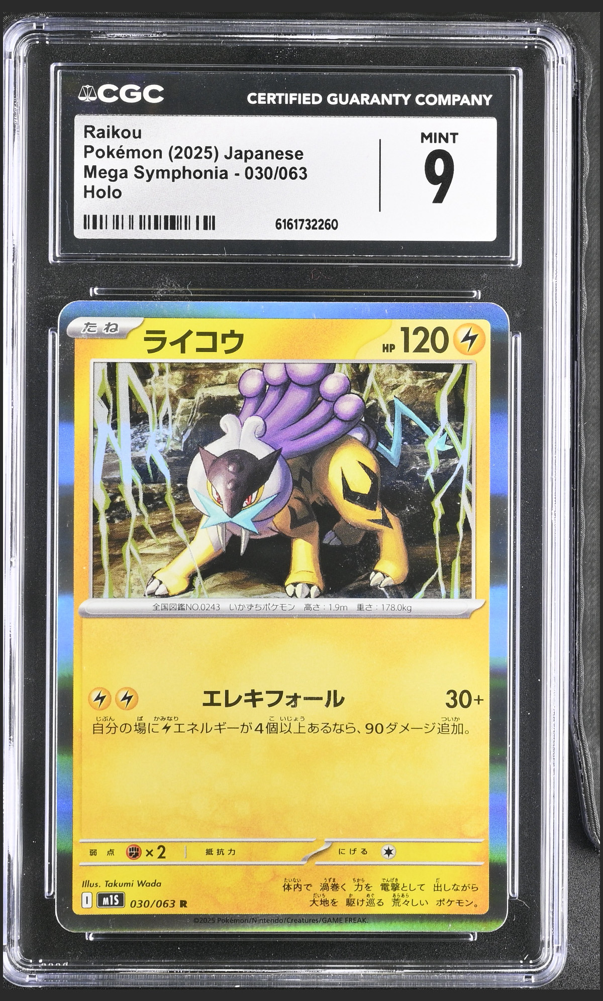 Raikou 030/063 certified slab
