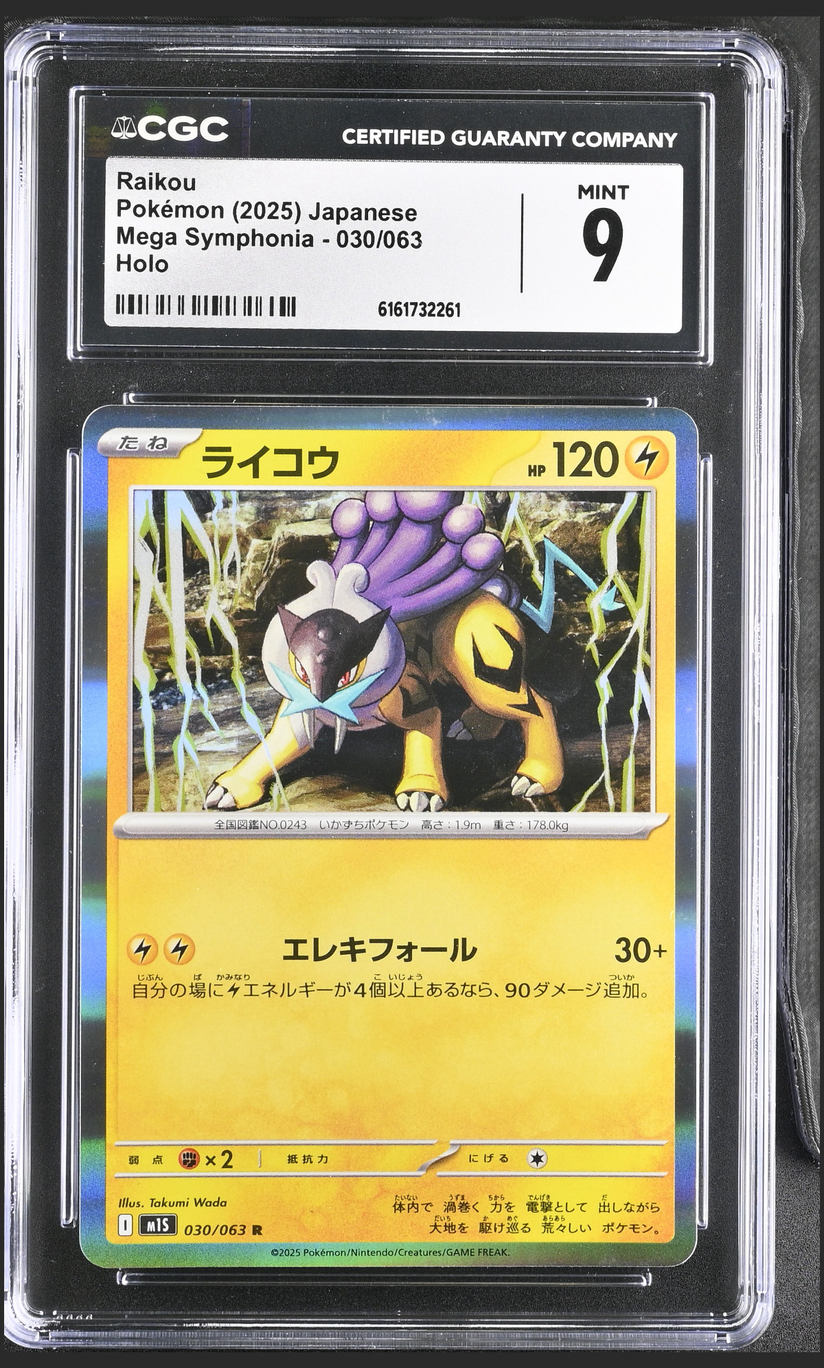 Raikou 030/063 certified slab