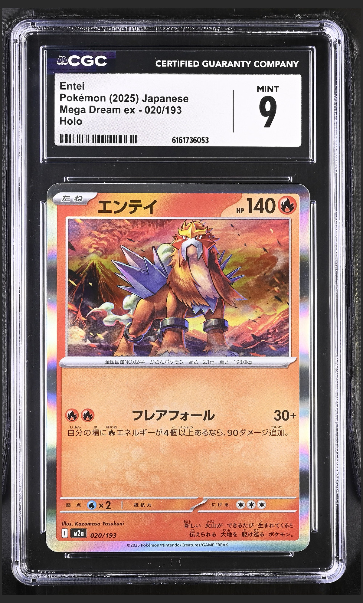 Entei 020/193 certified slab