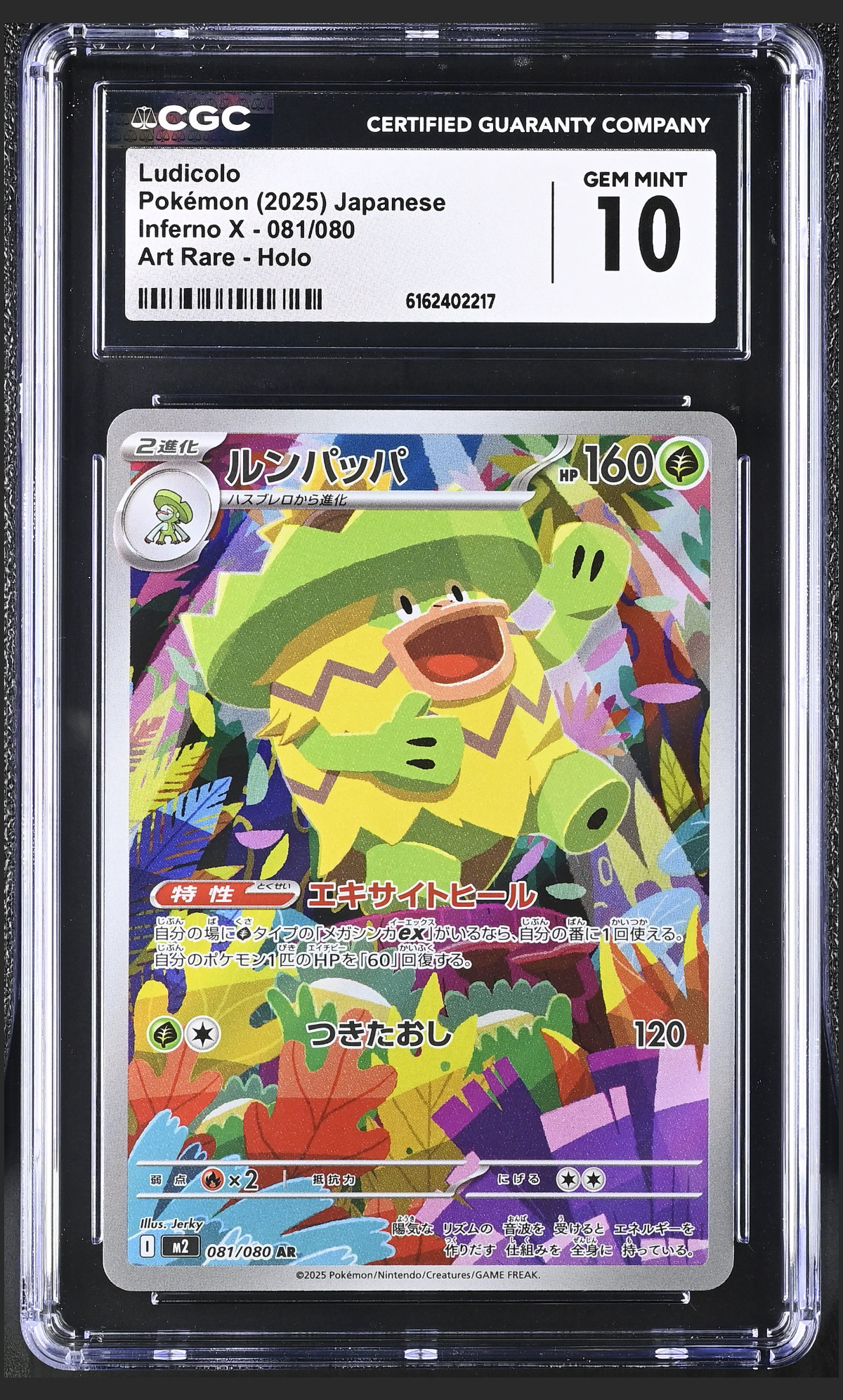 Ludicolo 081/080 certified slab