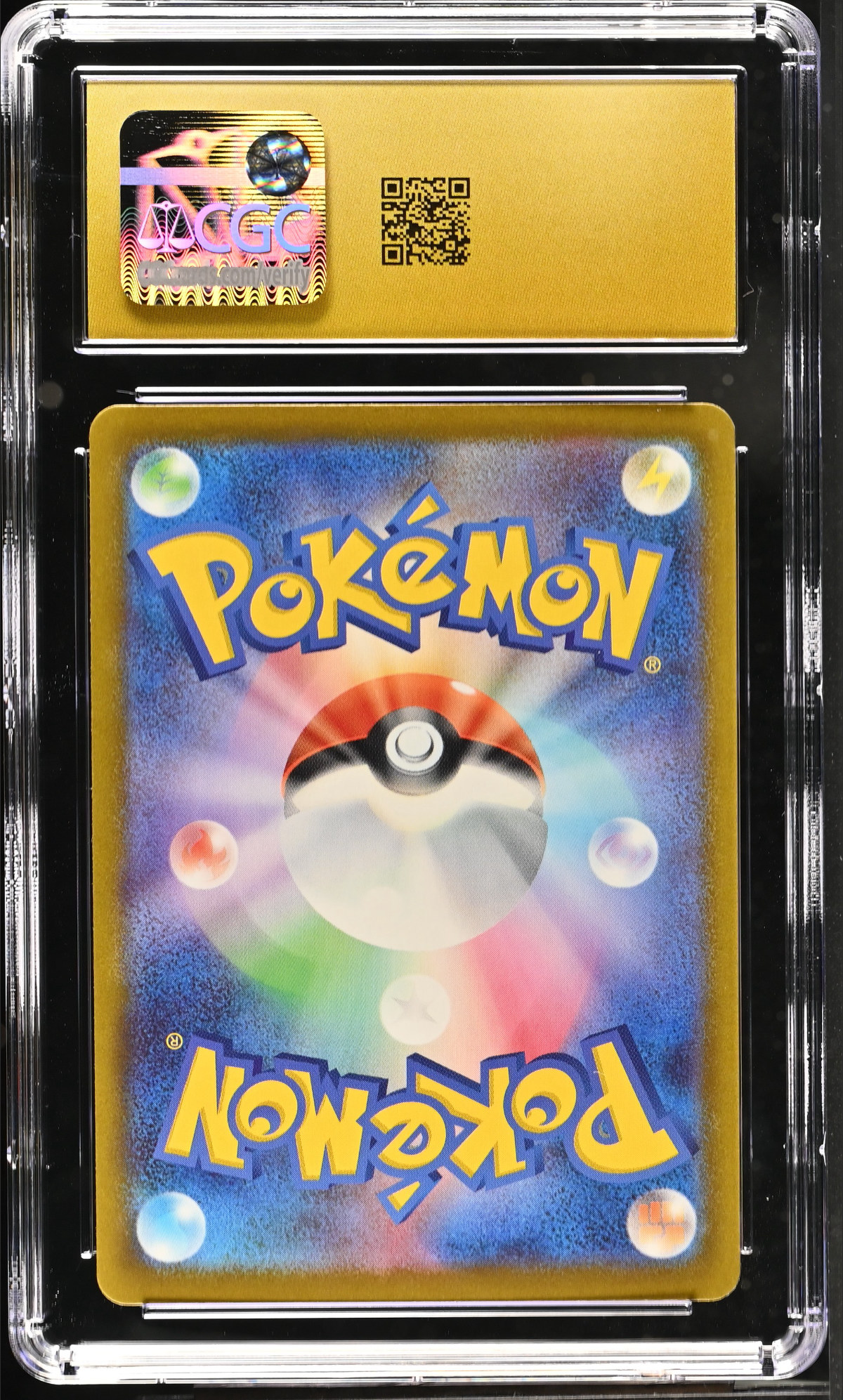 Mega Hawlucha ex 229/193 — slab rear, certification 6164164048