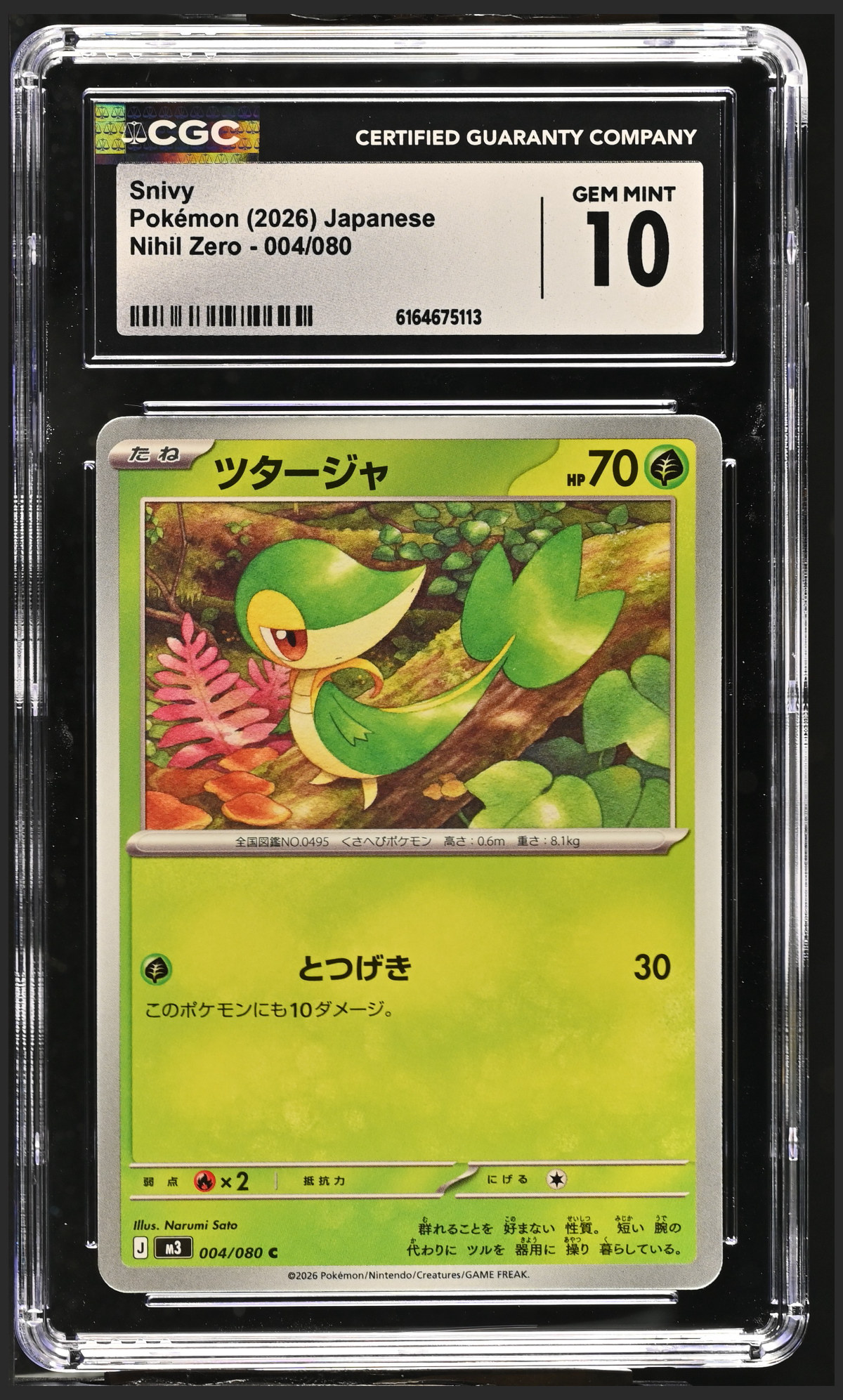 Snivy 004/080 certified slab