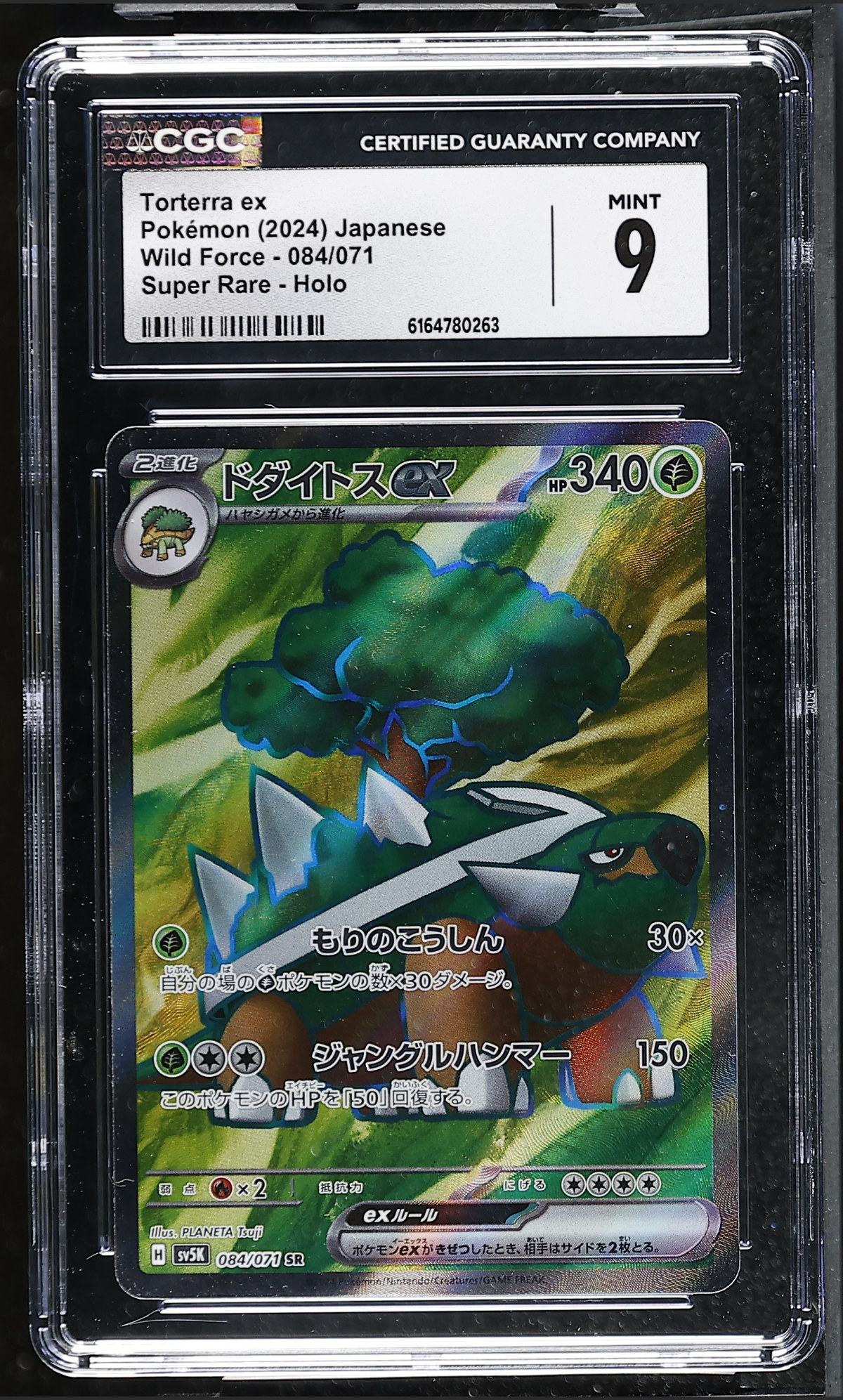 Torterra ex 084/071 — the exact copy offered