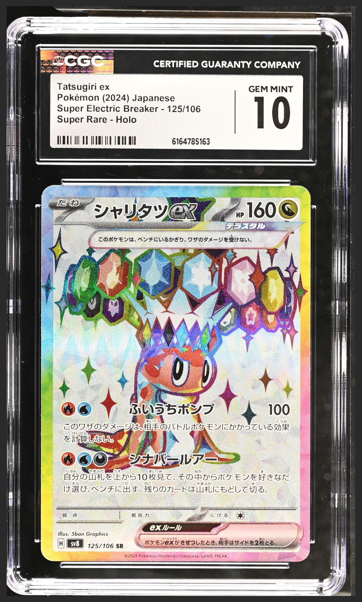 Tatsugiri ex 125/106 certified slab