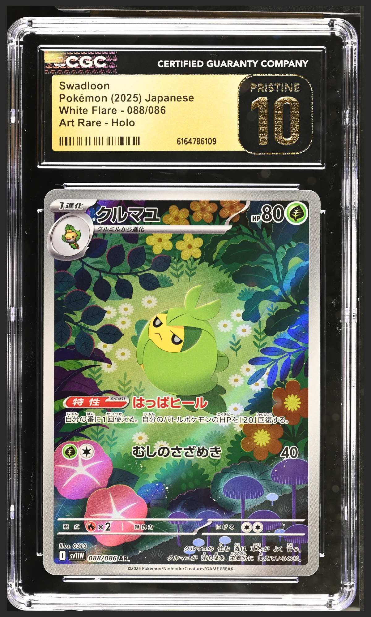 Swadloon 088/086 certified slab