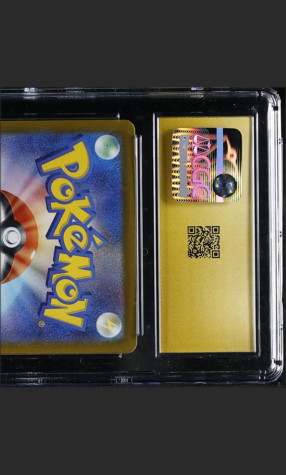 Mega Gardevoir ex 226/193 — slab rear, certification 6164976164