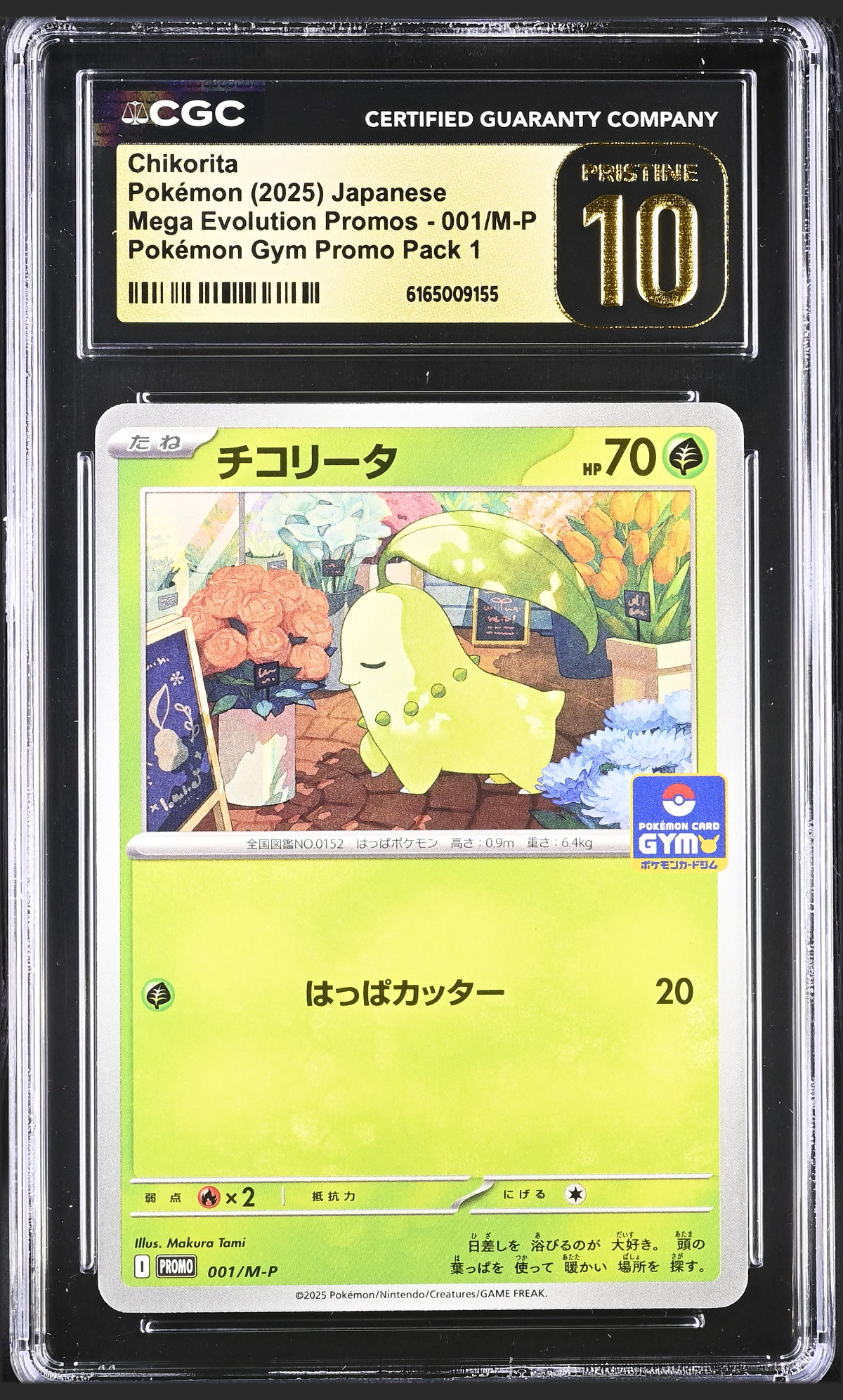 Chikorita 001/M-P certified slab