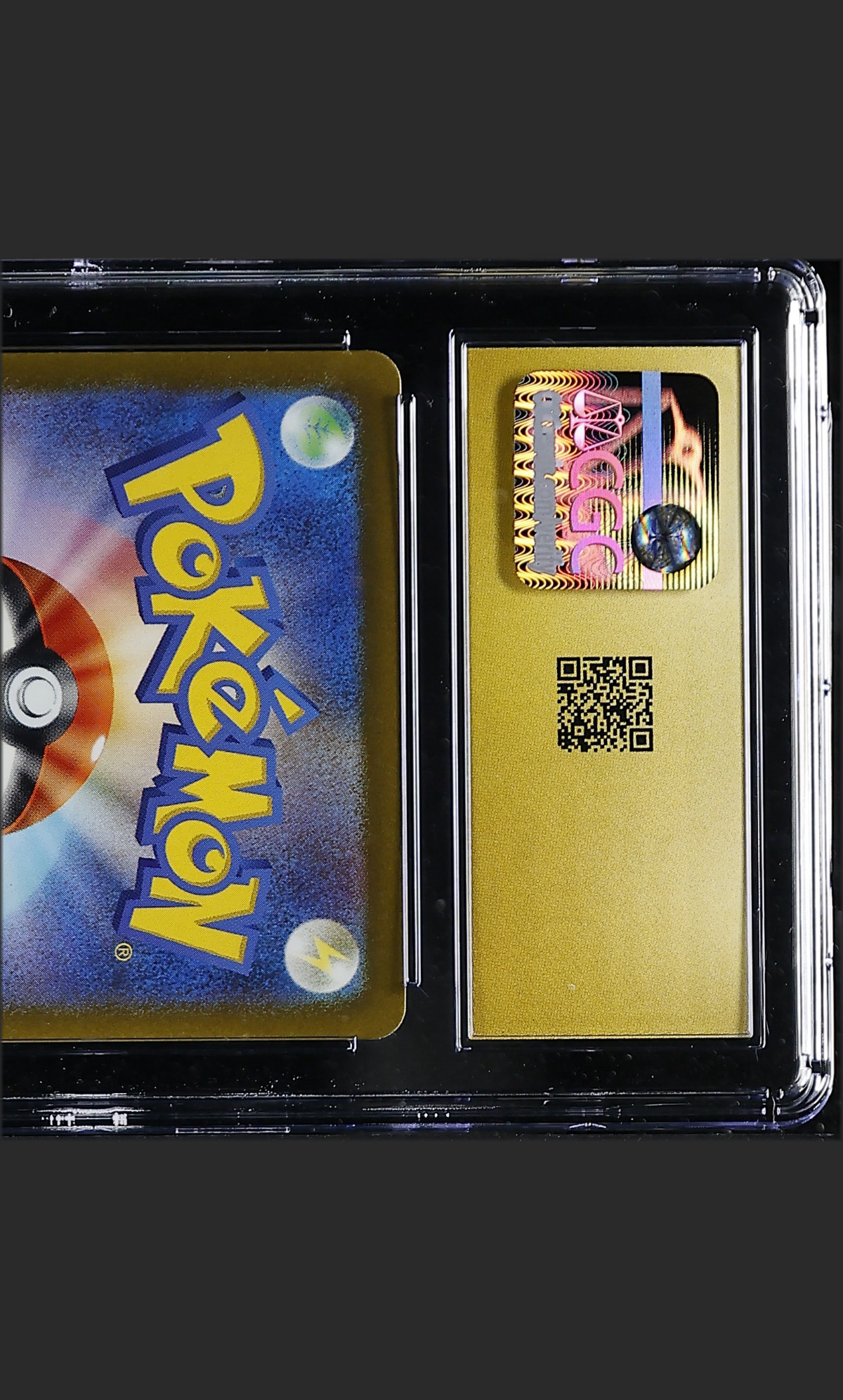 Garchomp ex 076/062 — slab rear, certification 6165018119