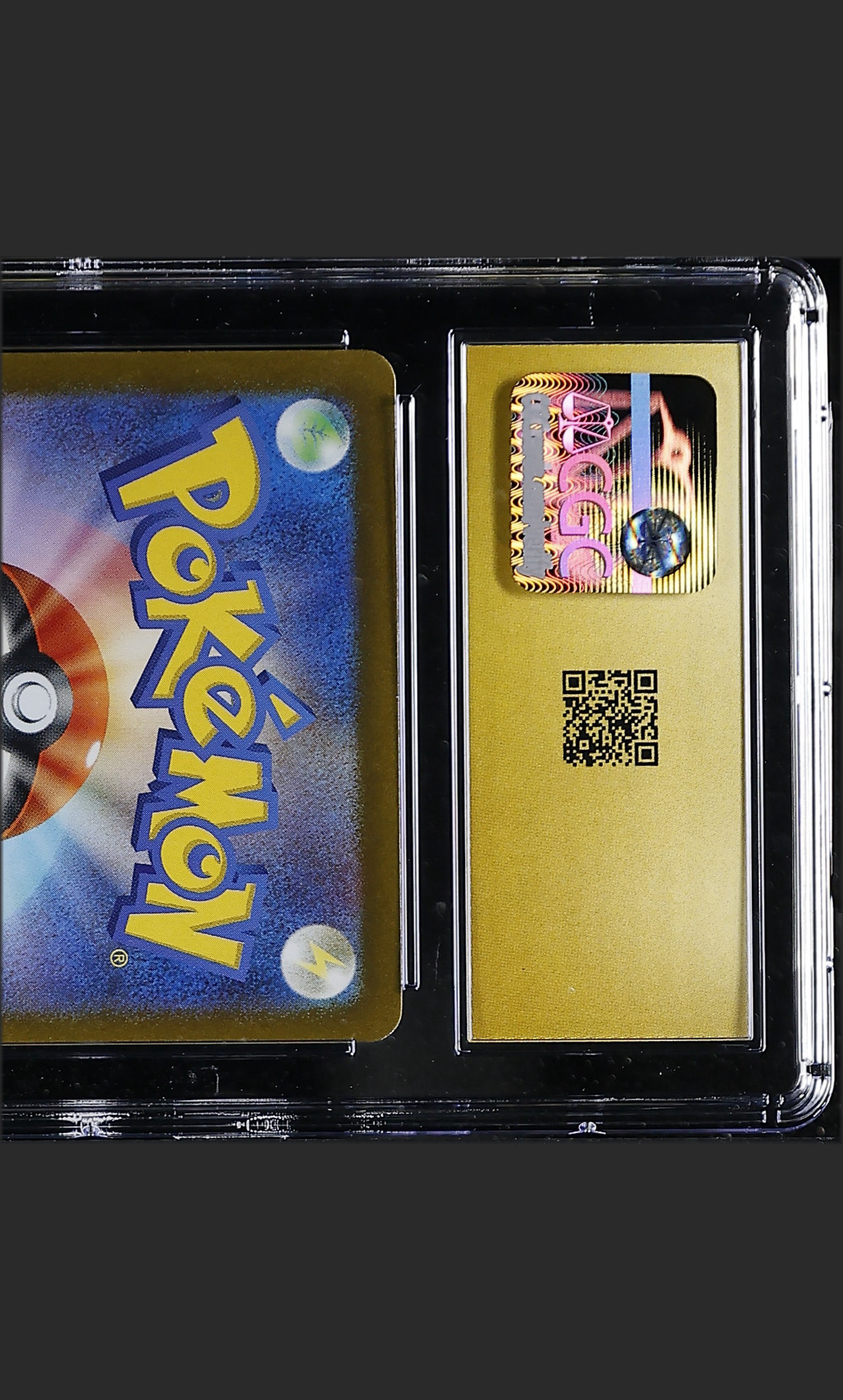 Charmander 004/165 — slab rear, certification 6165018188