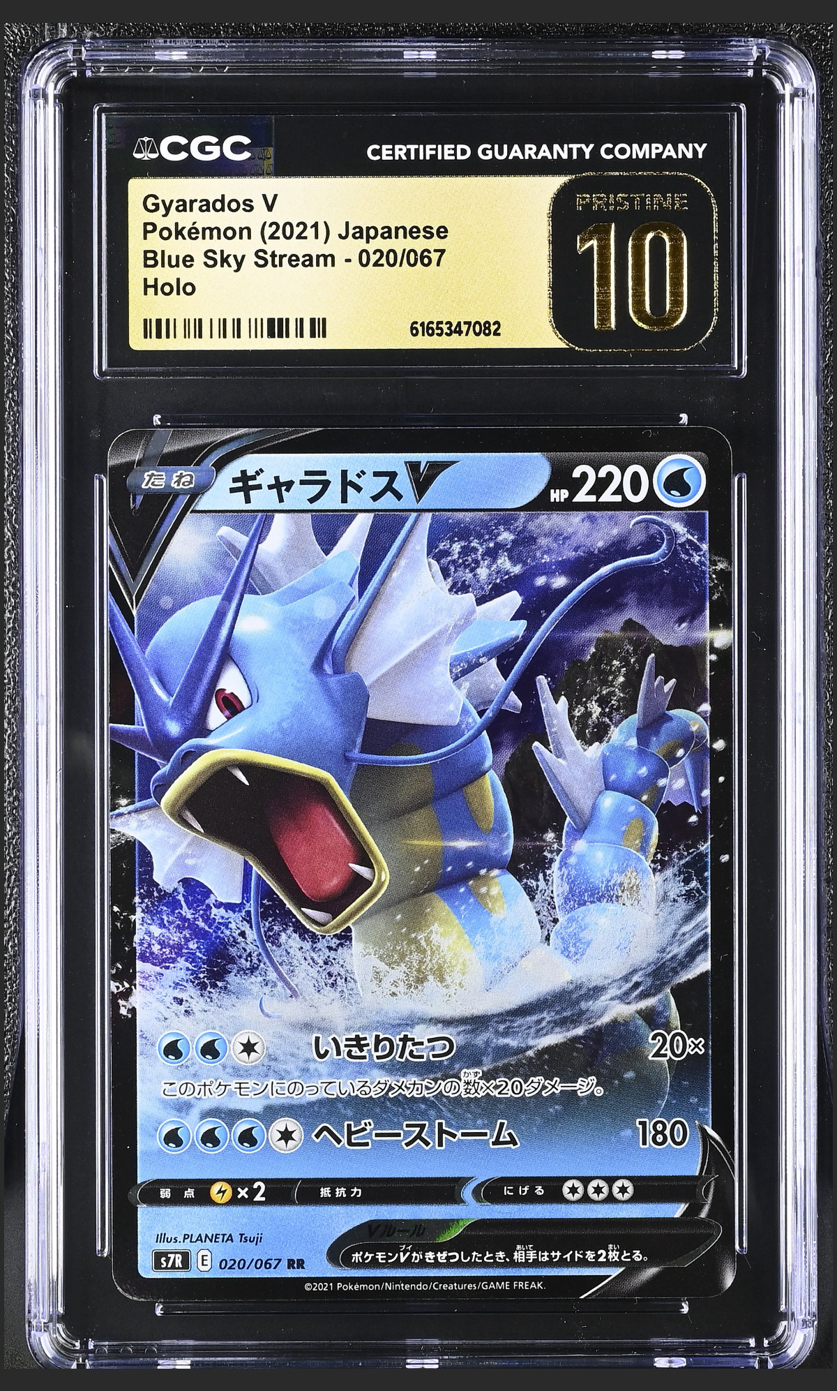 Gyarados V 020/067 certified slab