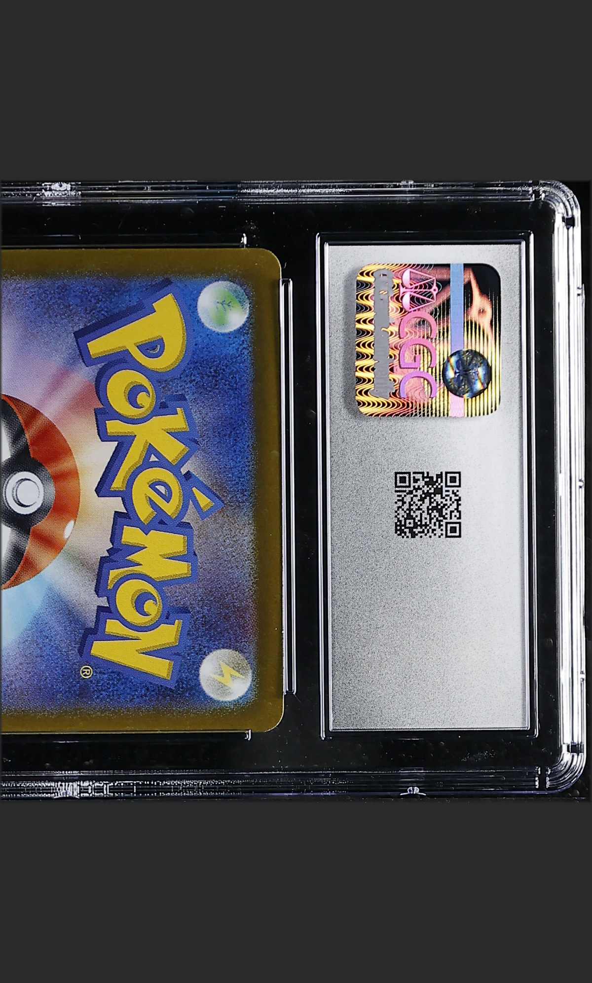 Milotic ex 026/106 — slab rear, certification 6168168054