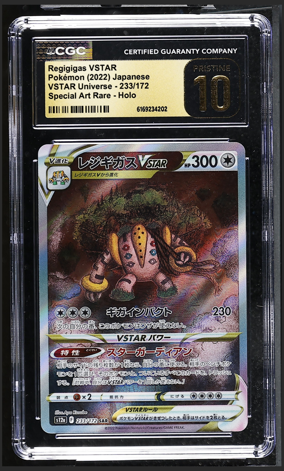 Regigigas VSTAR 233/172 certified slab