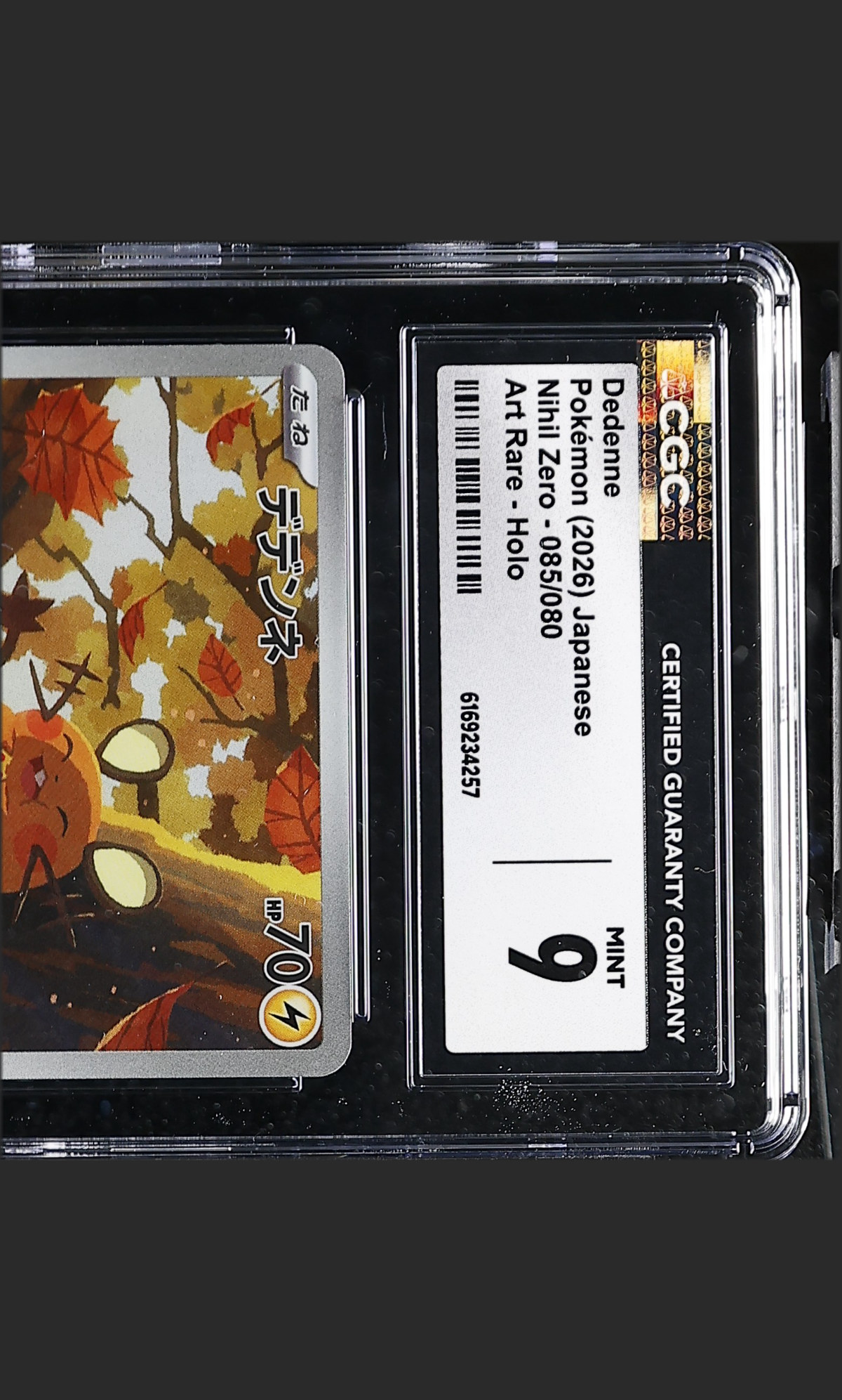 Dedenne 085/080 certified slab
