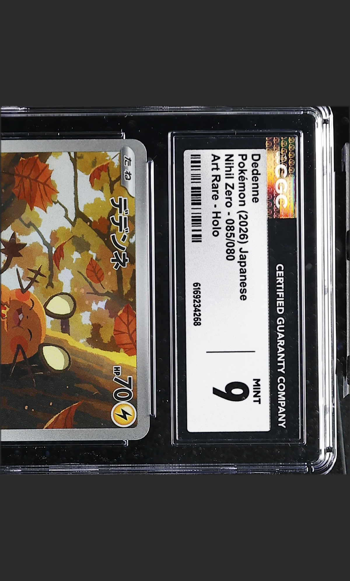 Dedenne 085/080 certified slab