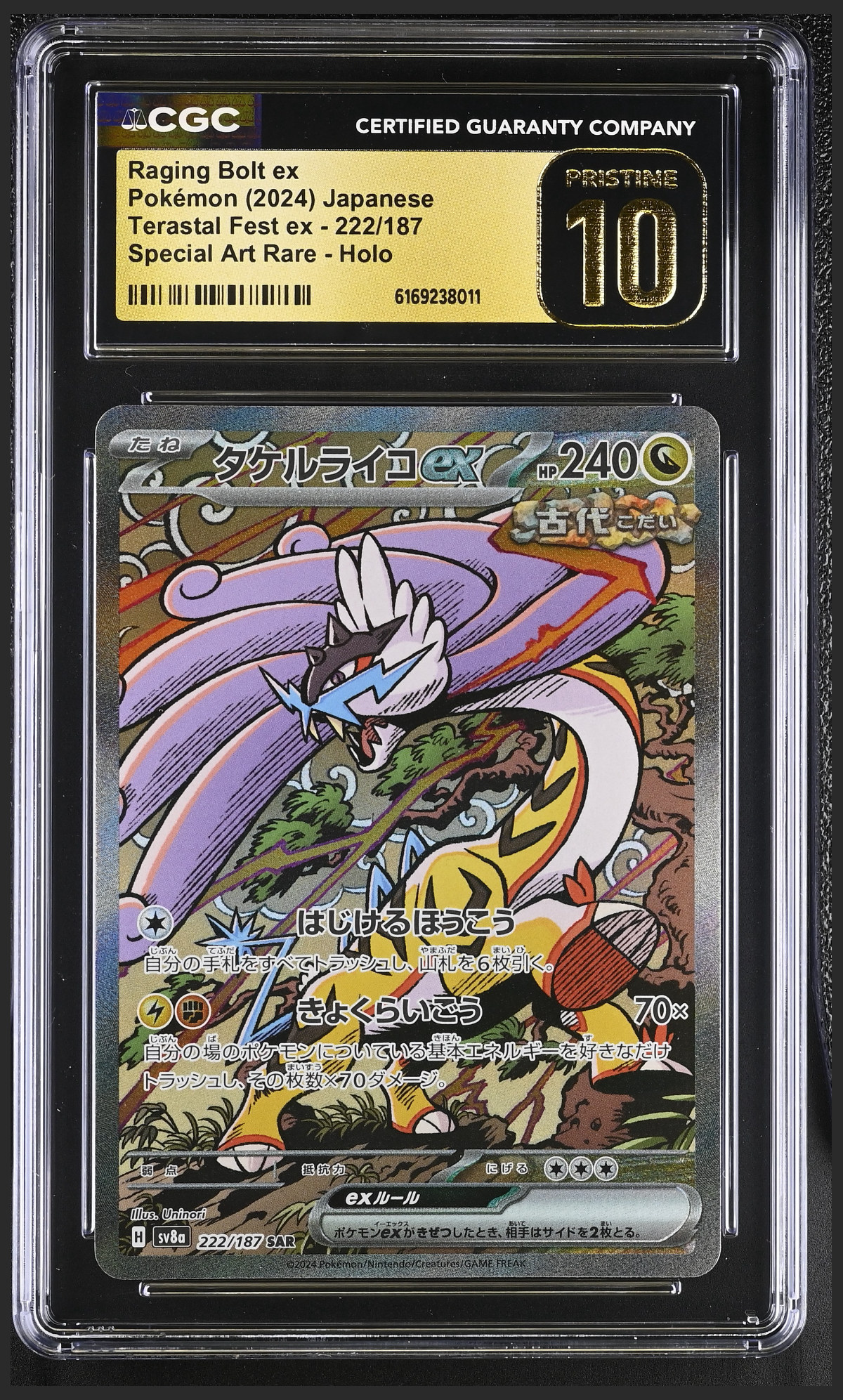 Raging Bolt ex 222/187 — the exact copy offered for sale