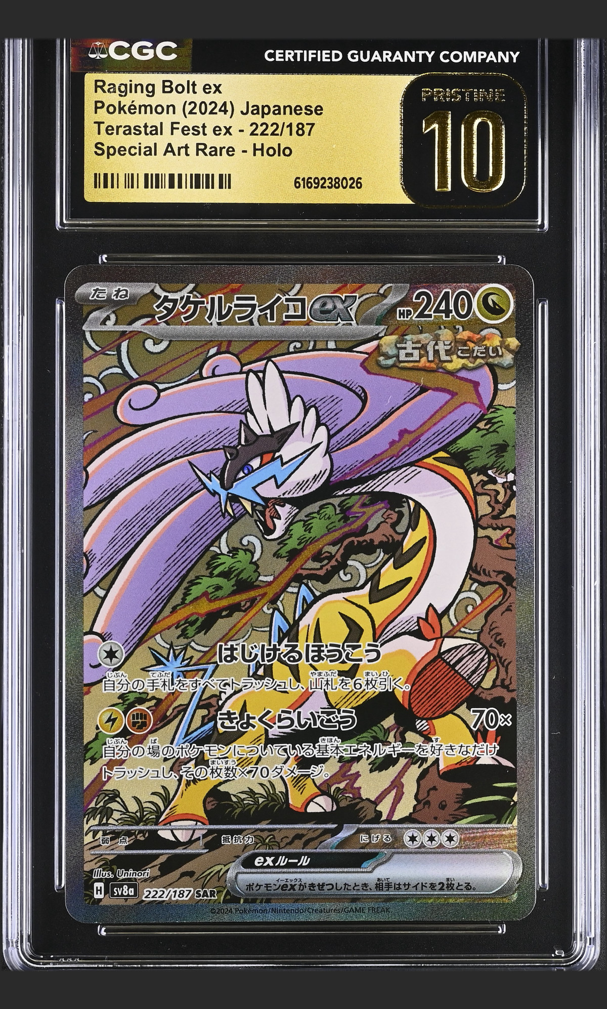 Raging Bolt ex 222/187 — the exact copy offered for sale