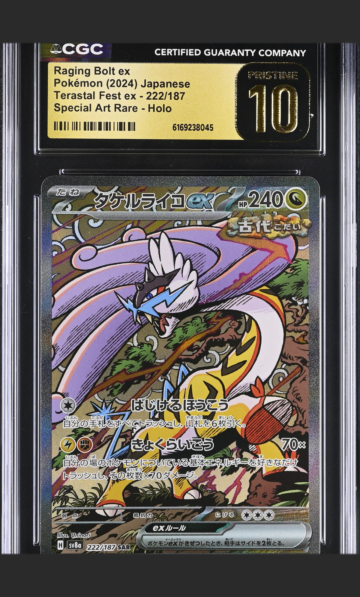 Raging Bolt ex 222/187 — the exact copy offered for sale